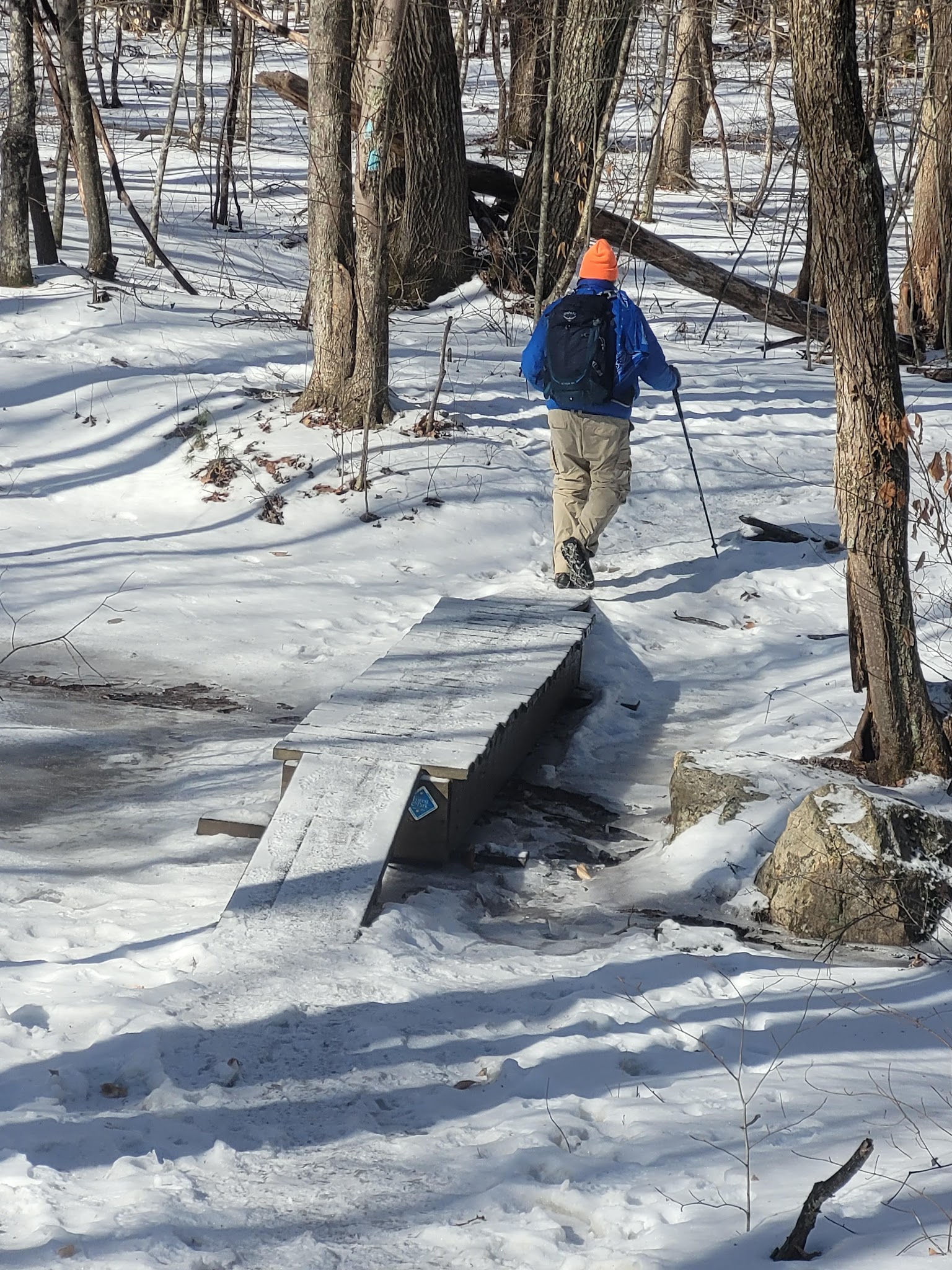 Sawmill Brook Preserve - Mansfield Center, CT