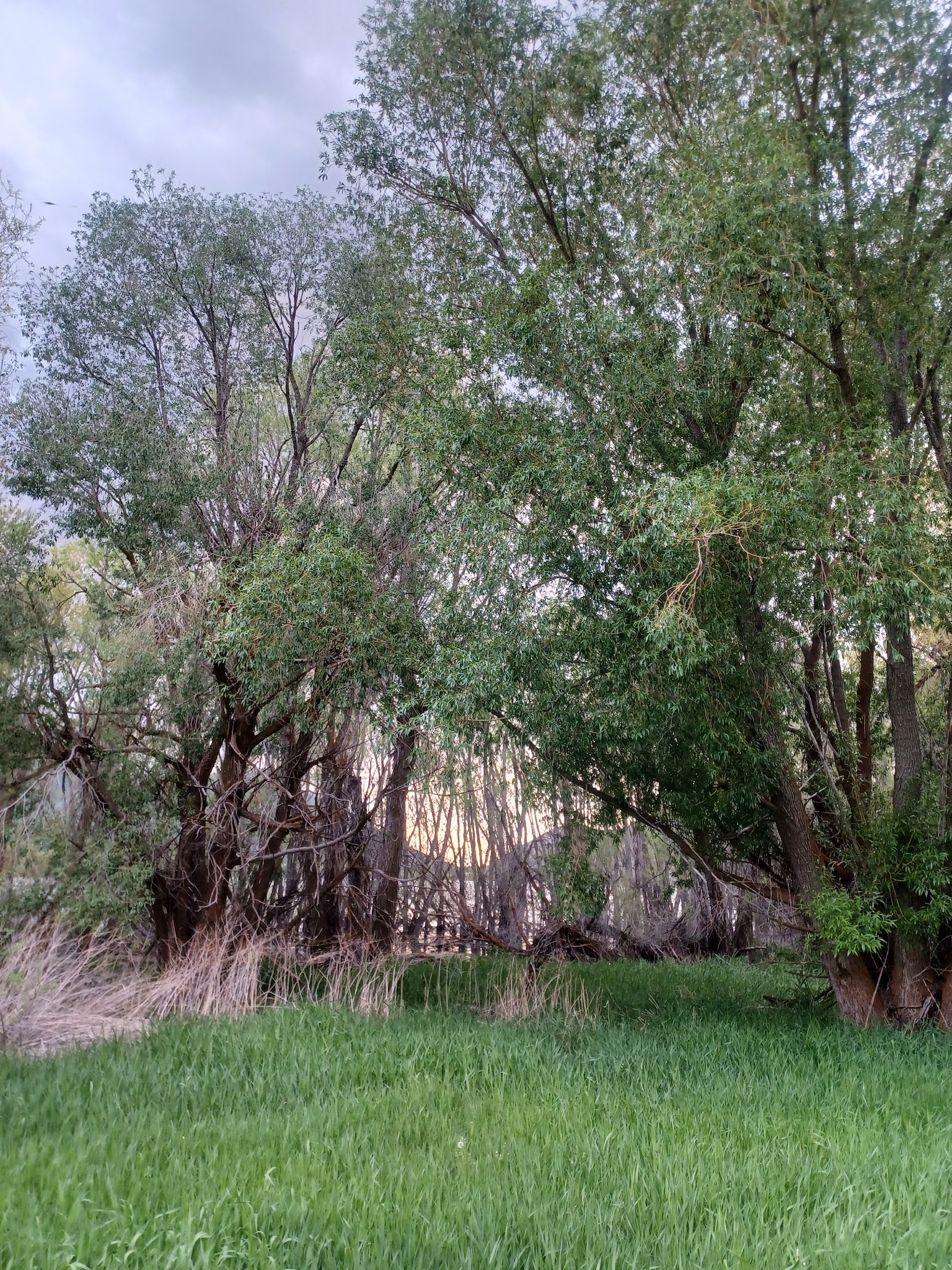 Mantua Reservoir Beach - Mantua, UT