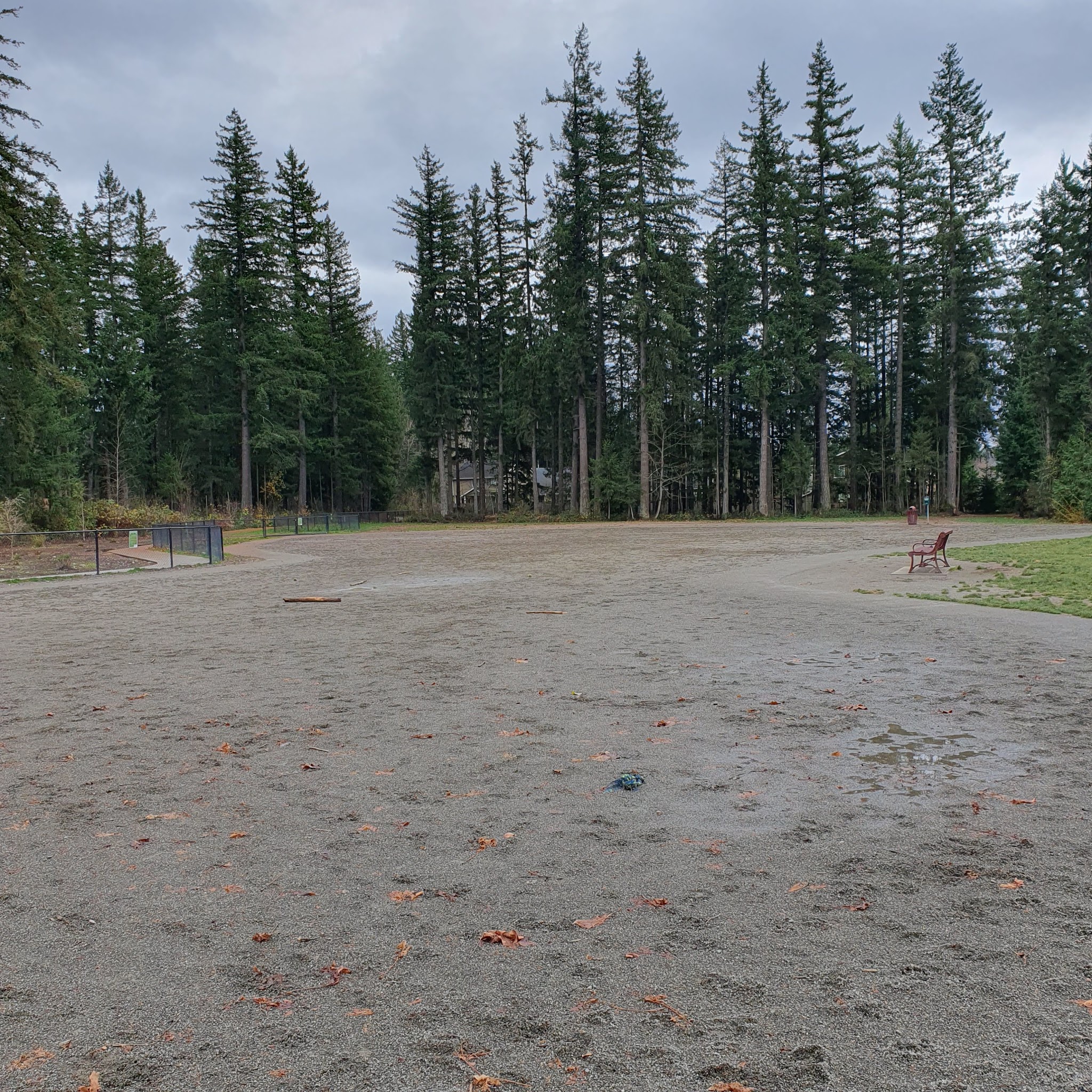 Summit Park Off Leash Dog Park - Maple Valley, WA