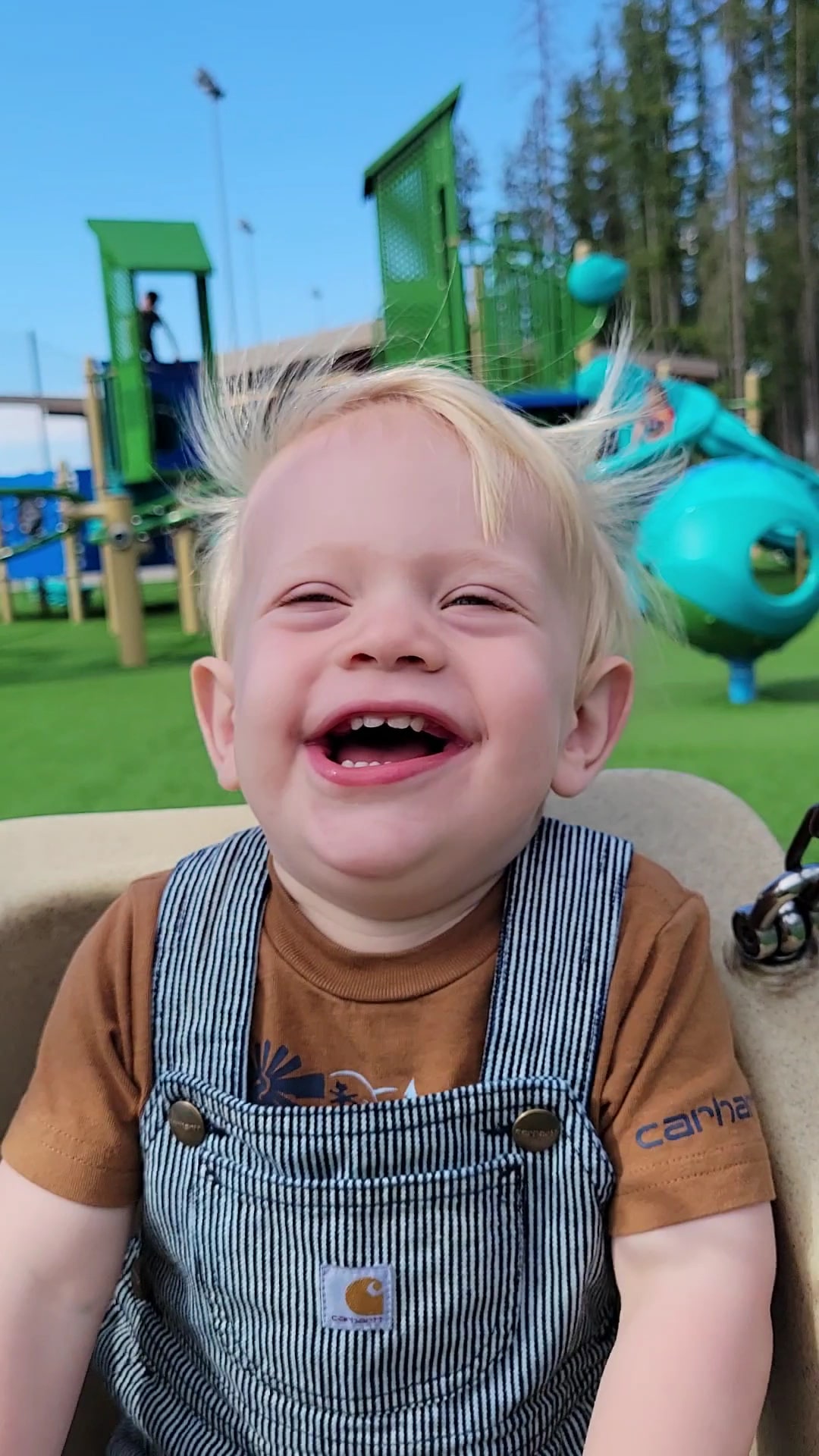 Summit Park Off Leash Dog Park - Maple Valley, WA