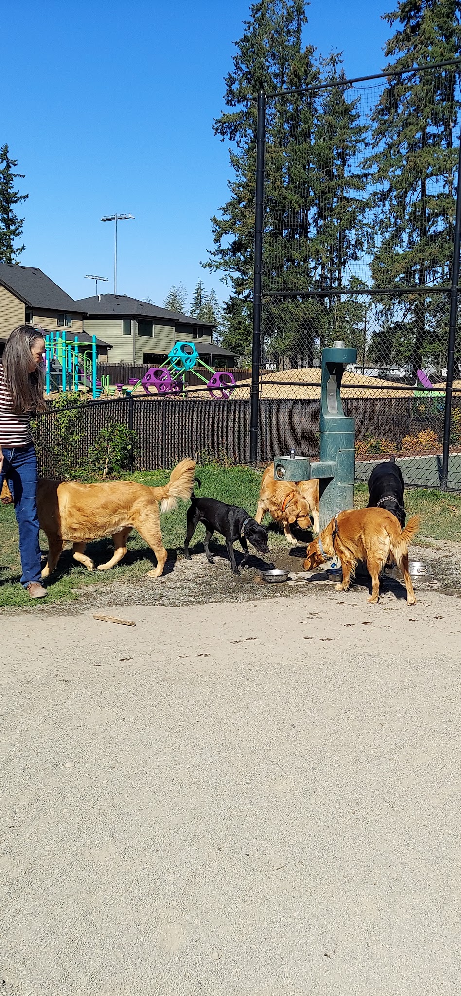 Summit Park Off Leash Dog Park - Maple Valley, WA