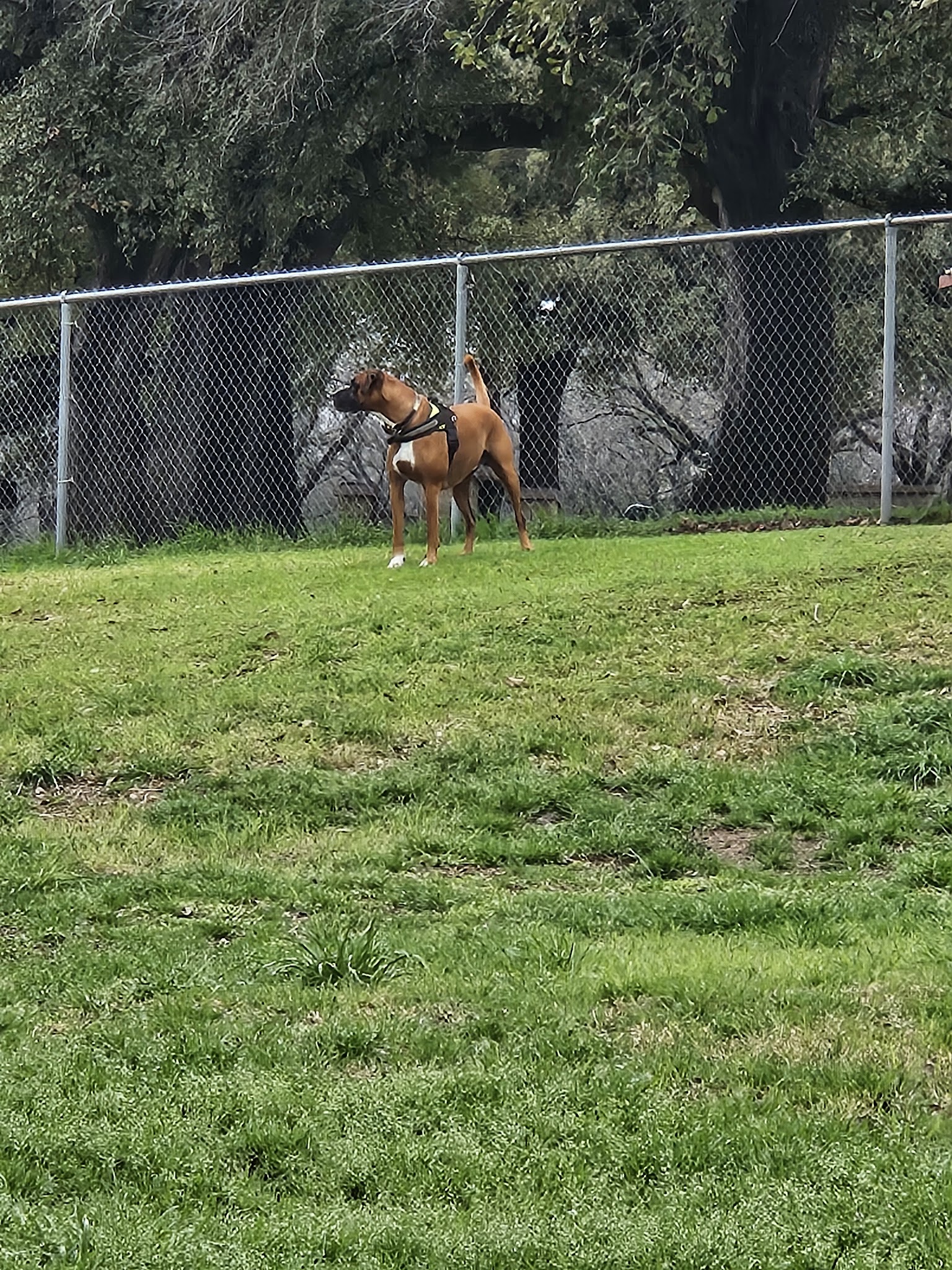 Ruff Park - Marble Falls, TX