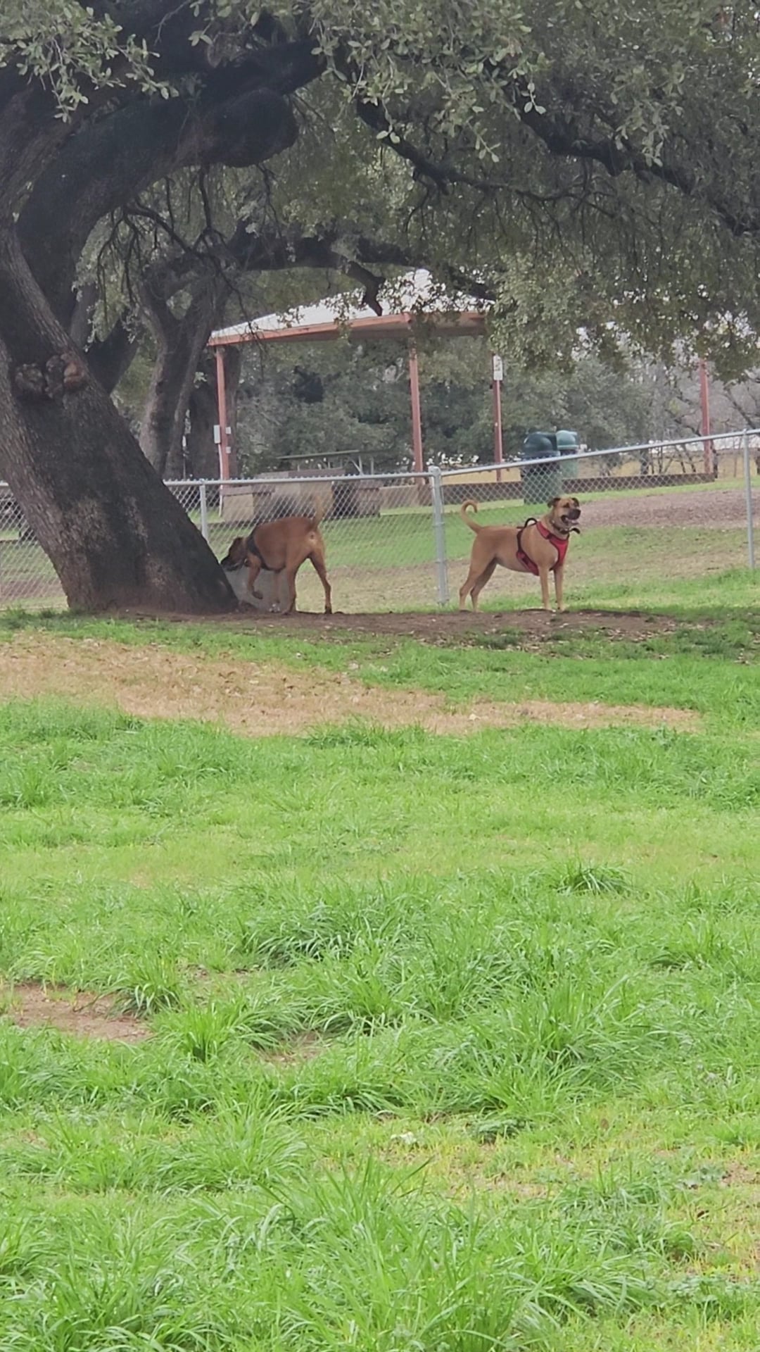 Ruff Park - Marble Falls, TX