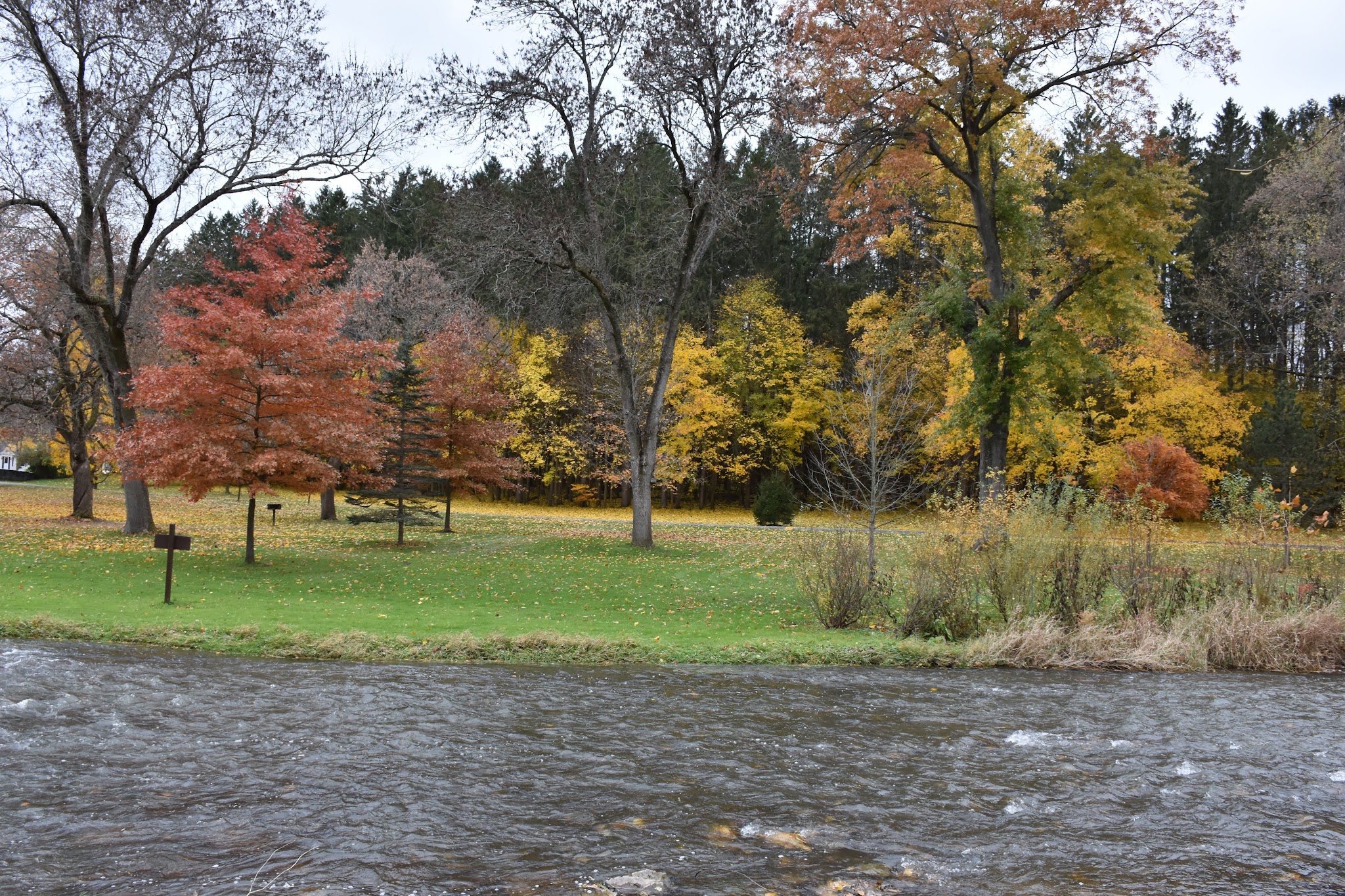 Marcellus Park - Marcellus, NY