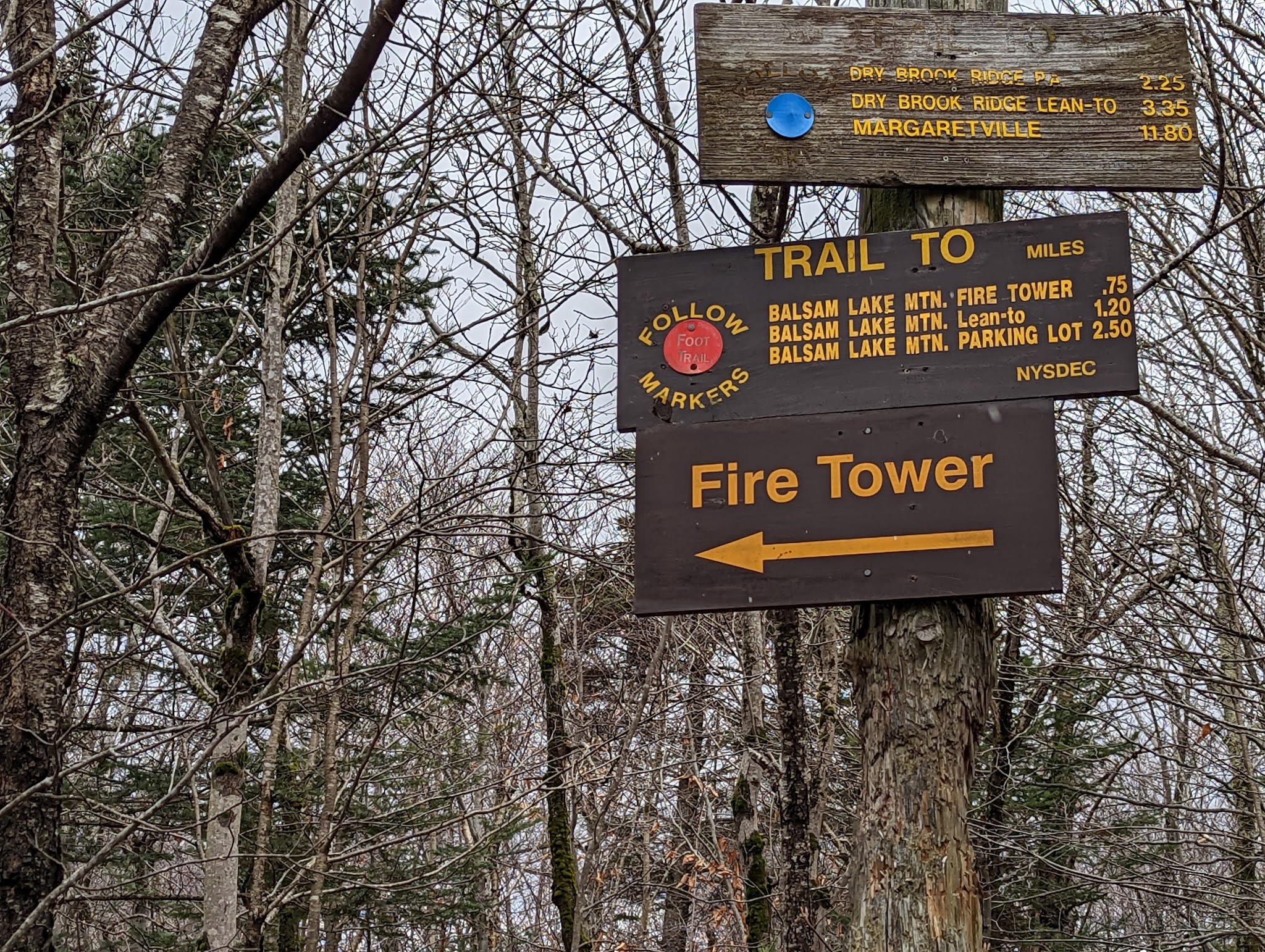 Dry Brook Ridge Trailhead - Margaretville, NY