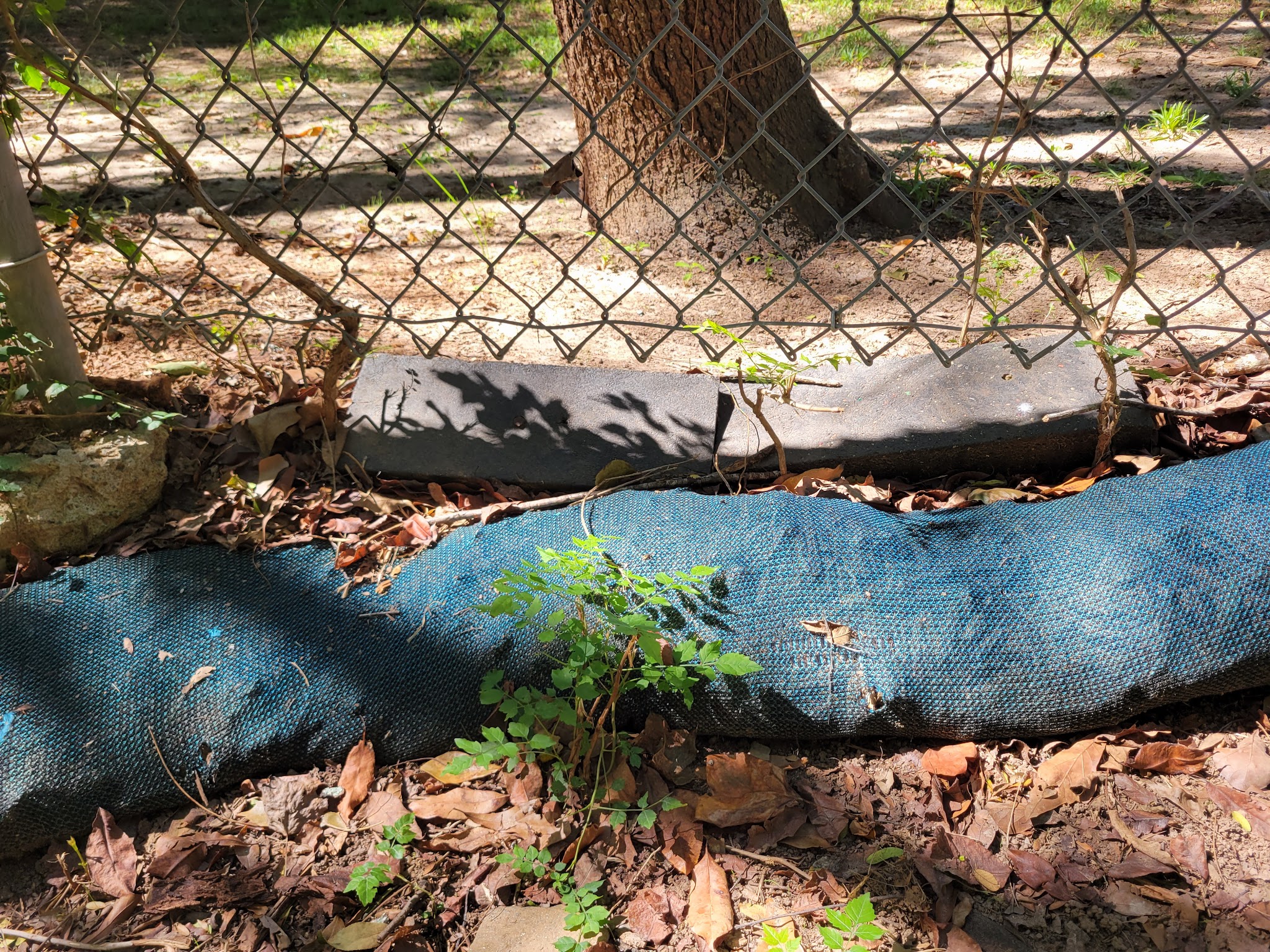 Wildwood Dog Park - Marietta, GA