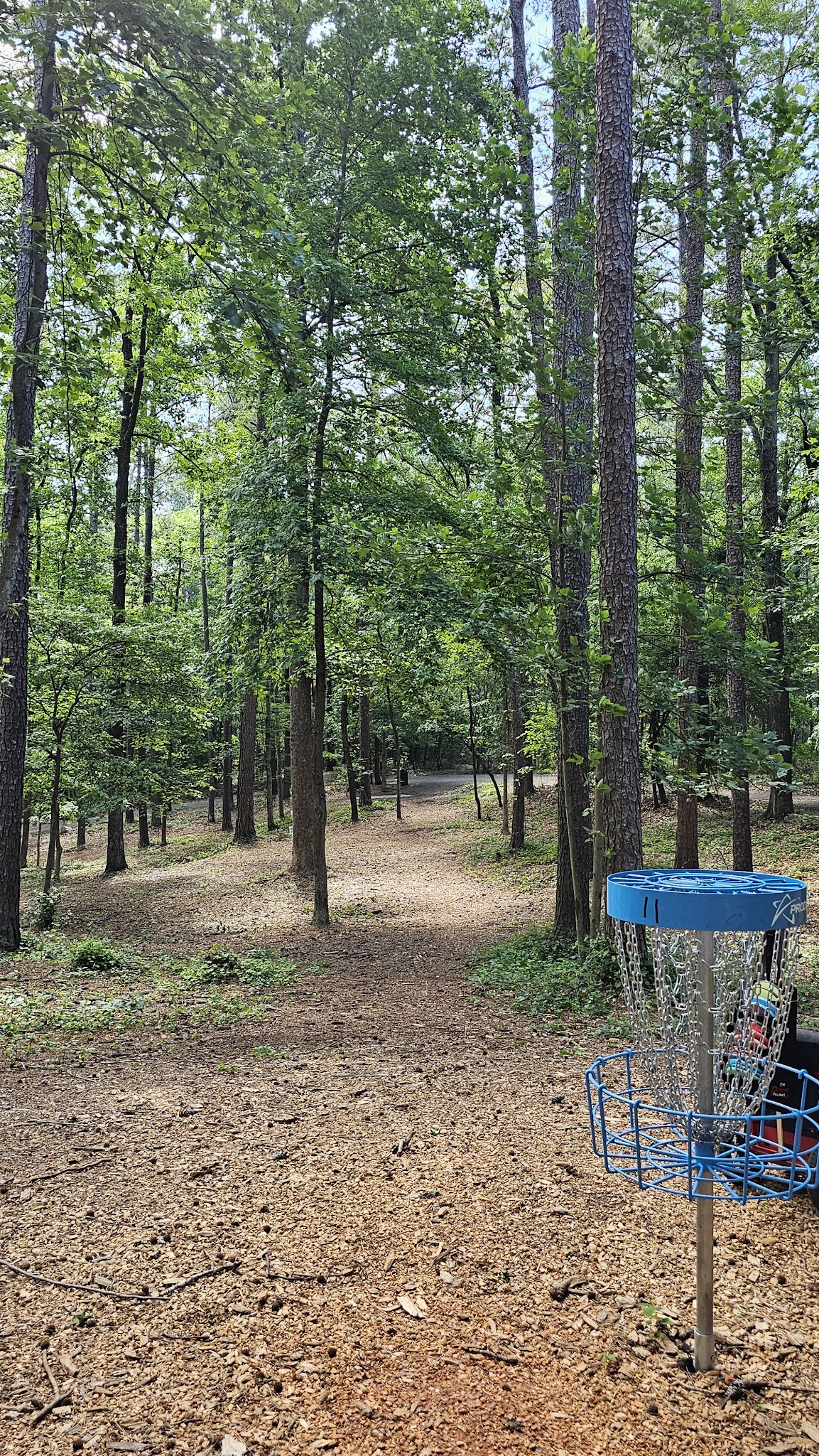 Wildwood Park - Marietta, GA