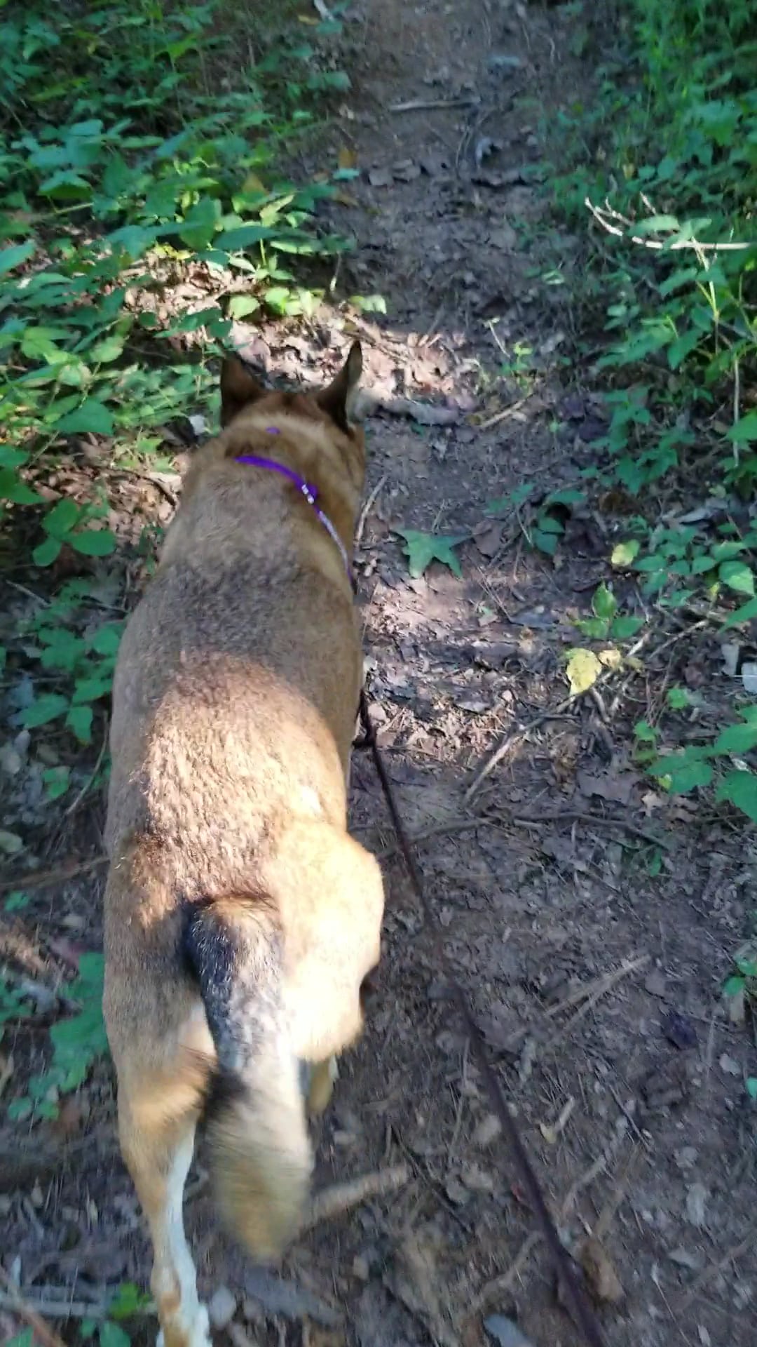 Wildwood Park - Marietta, GA