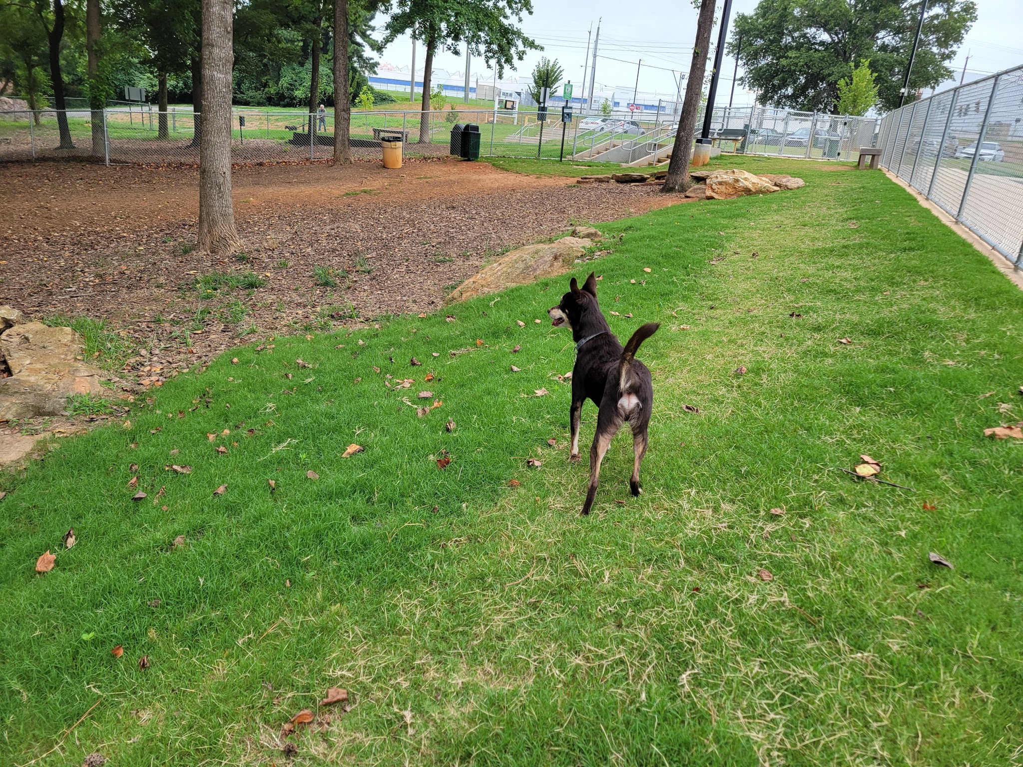 Wildwood Park - Marietta, GA