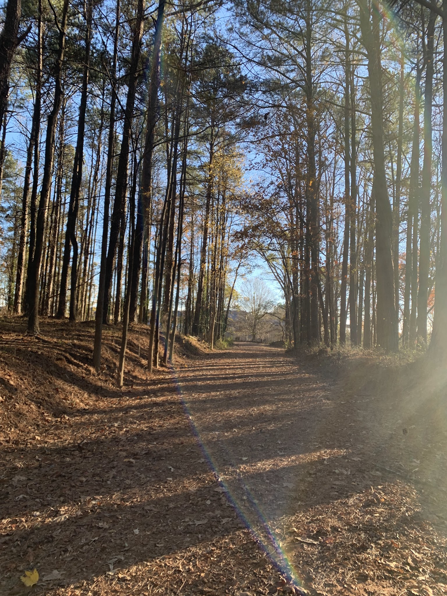 Wildwood Park - Marietta, GA