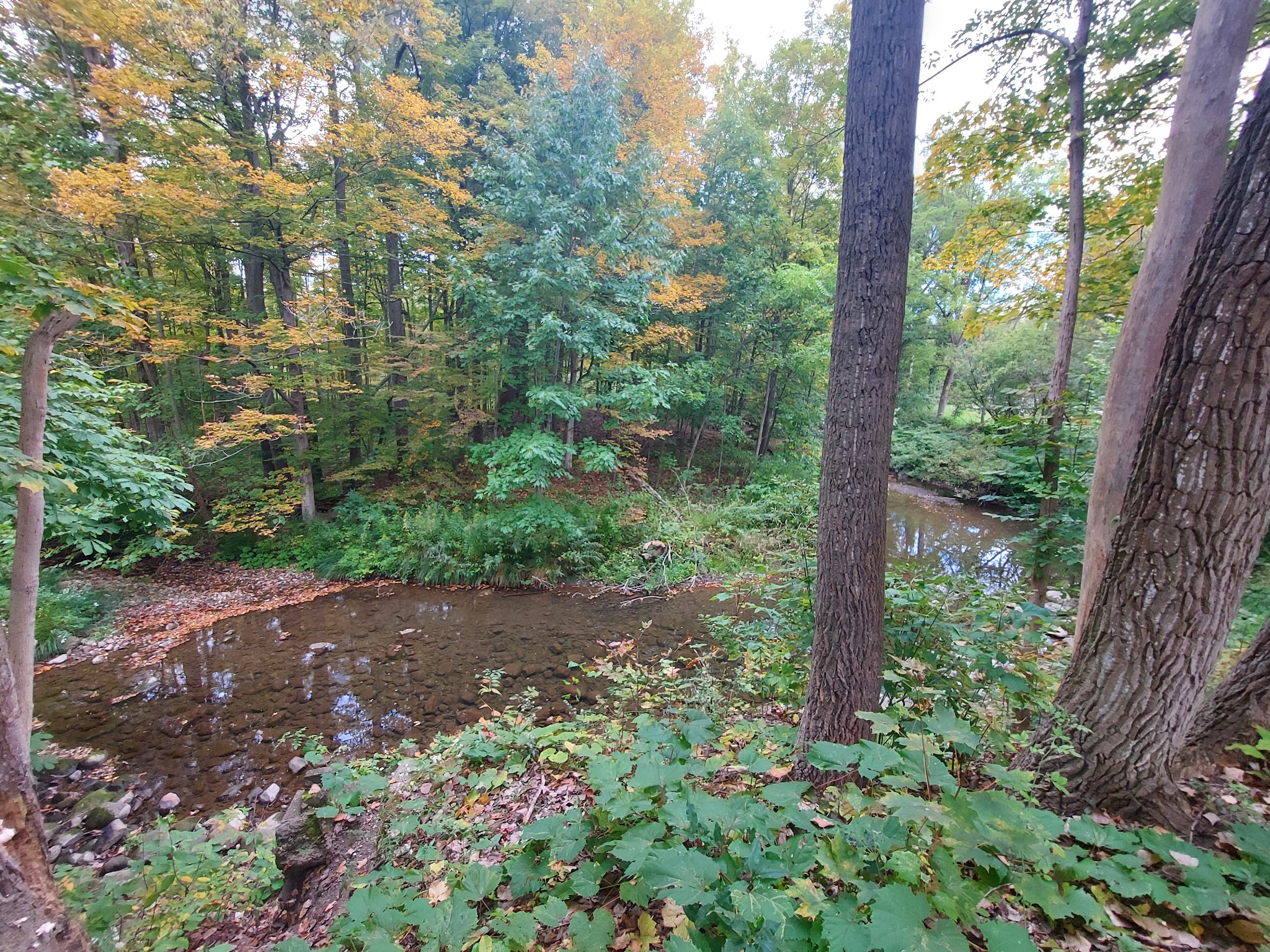 Marilla Park - Marilla, NY