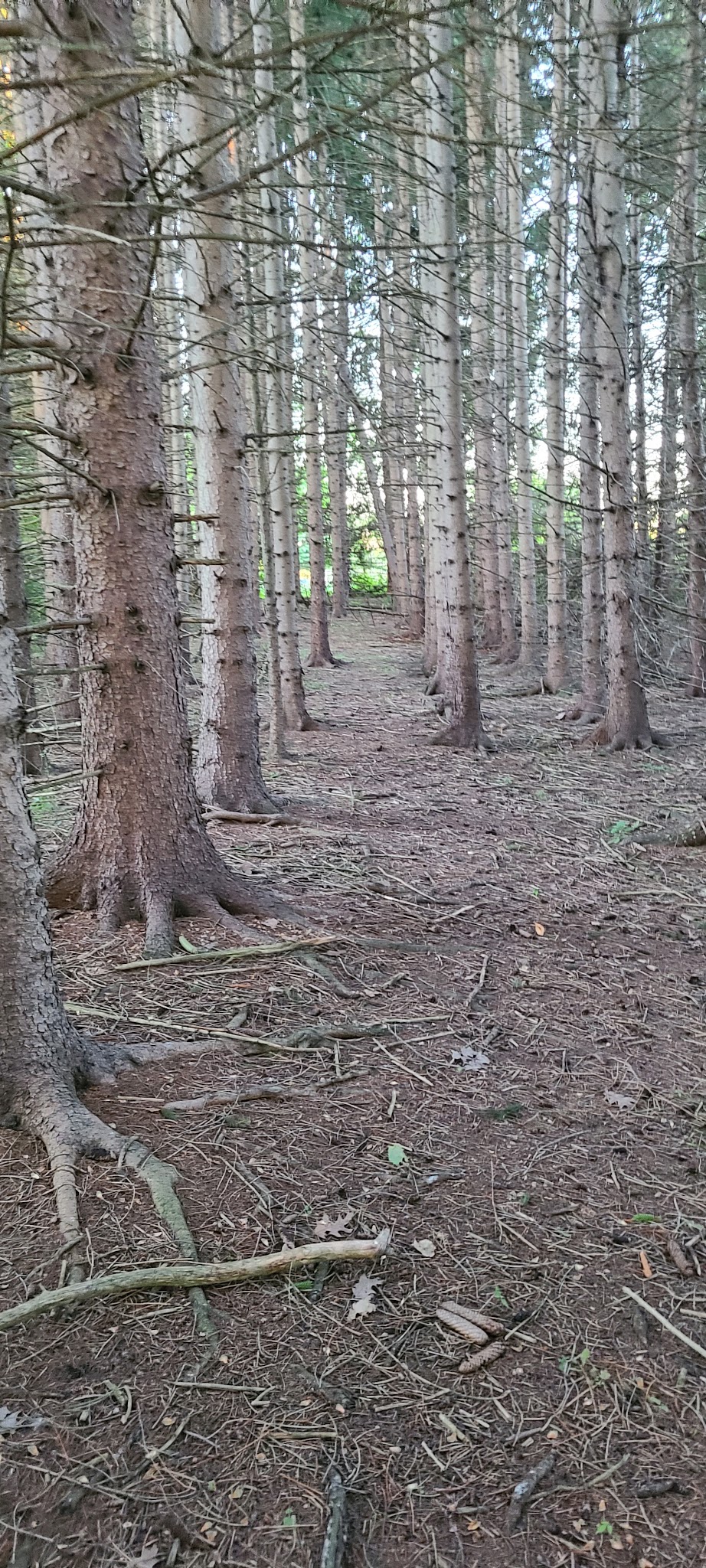 Marilla Park - Marilla, NY