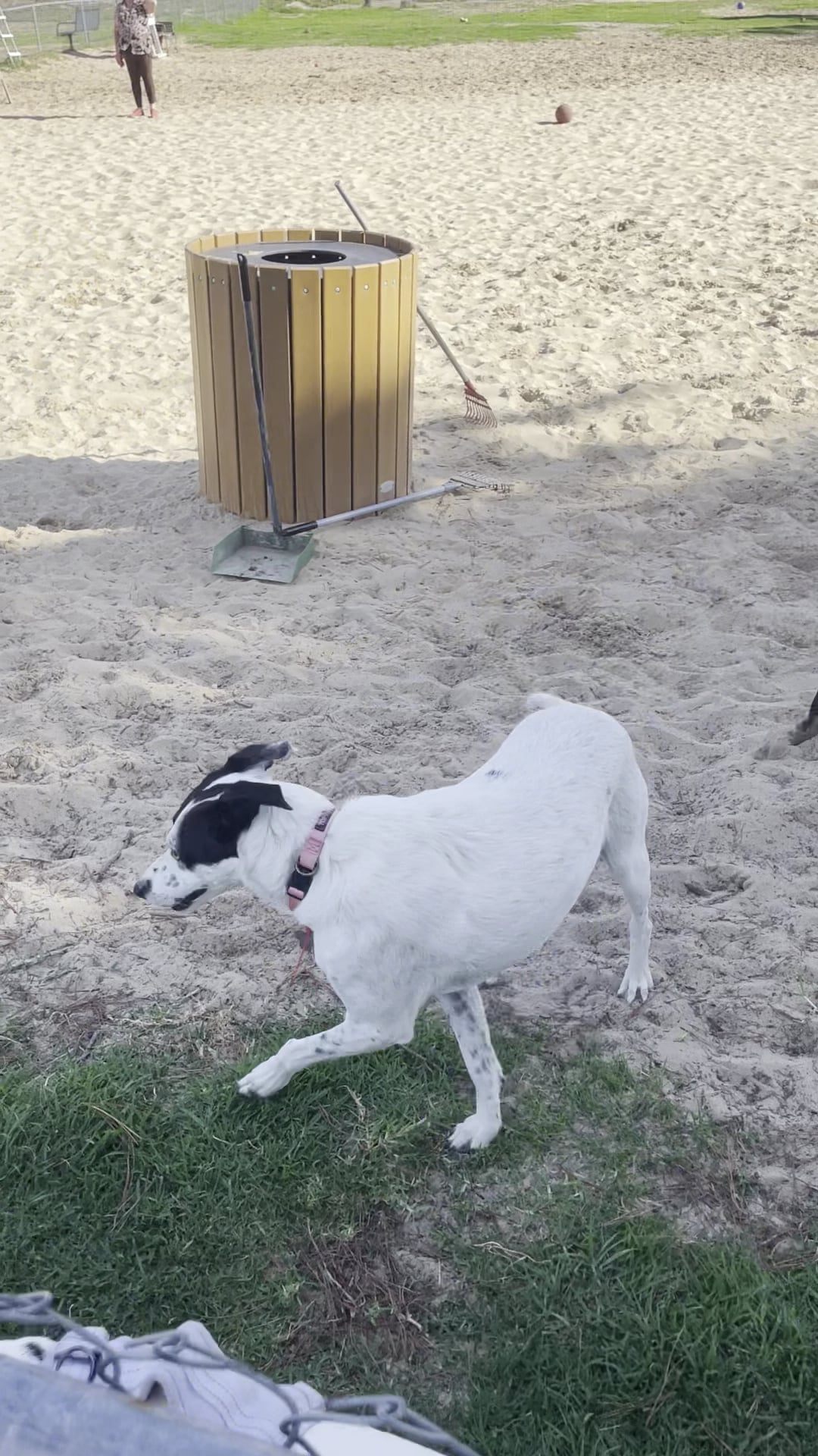 Schoonover Dog Park - Marina, CA