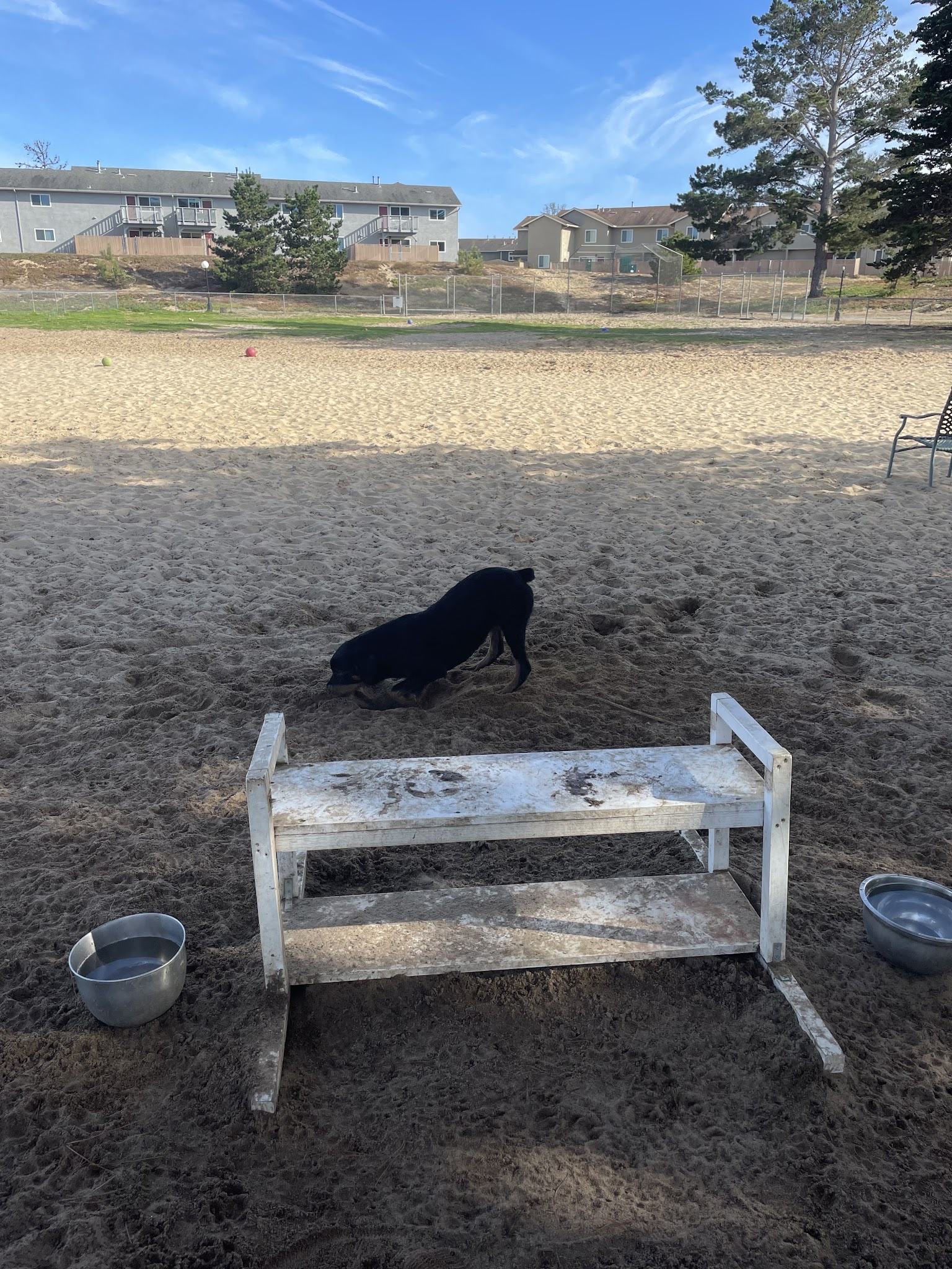 Schoonover Dog Park - Marina, CA