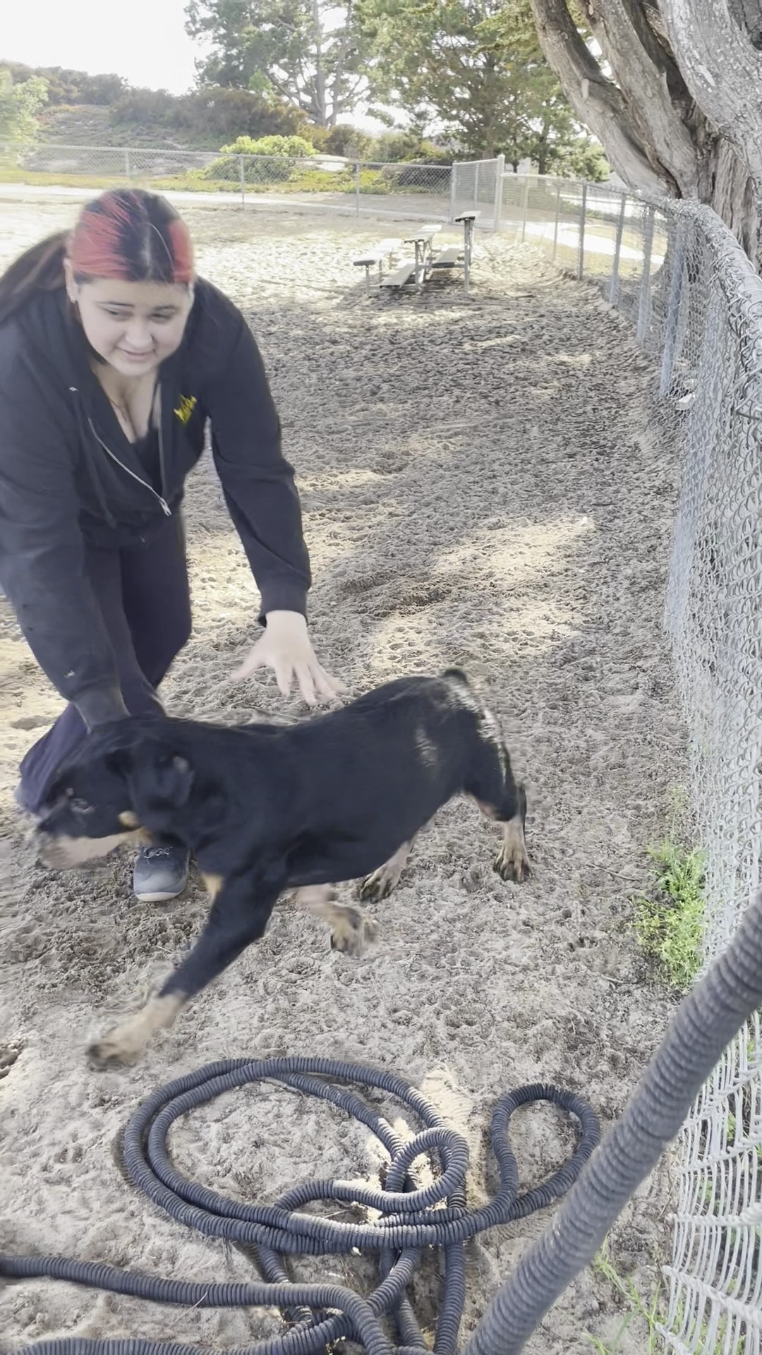 Schoonover Dog Park - Marina, CA