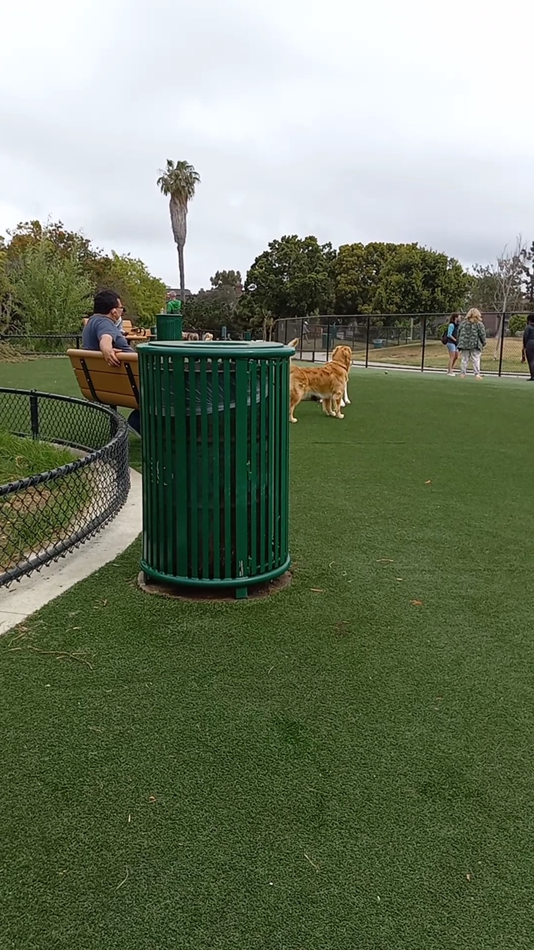 Glen Alla Dog Park - Marina Del Rey, CA