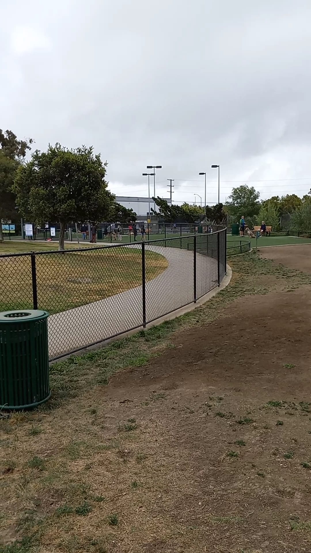 Glen Alla Dog Park - Marina Del Rey, CA