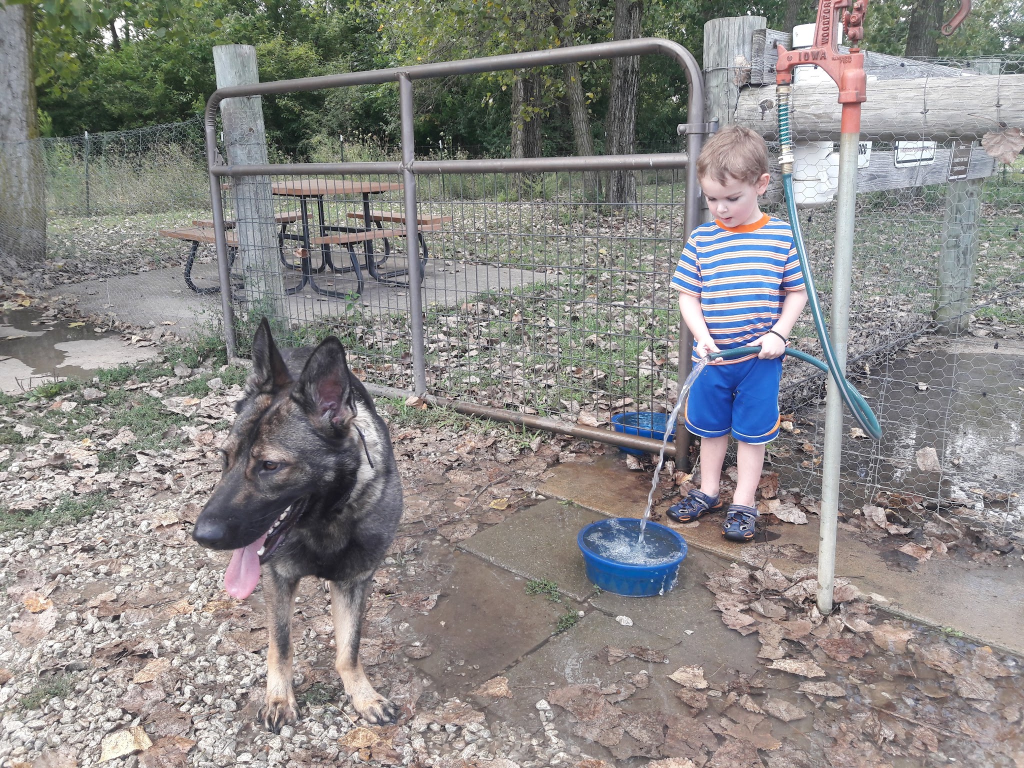 Pawadise Park - Marion, IN