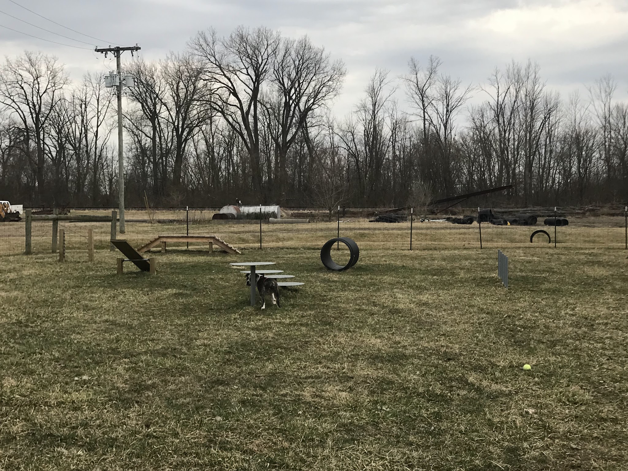 Pawadise Park - Marion, IN