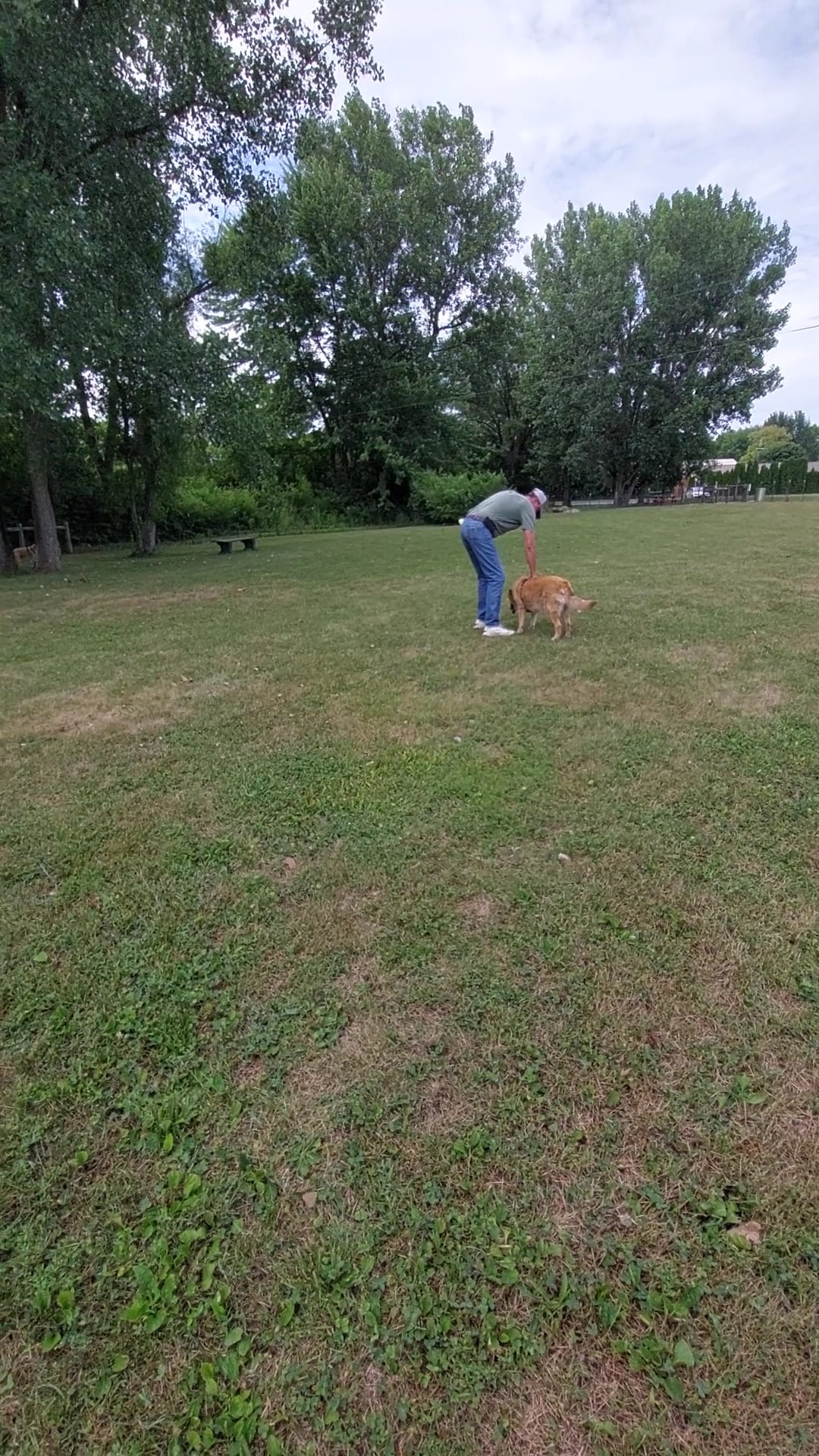 Pawadise Park - Marion, IN