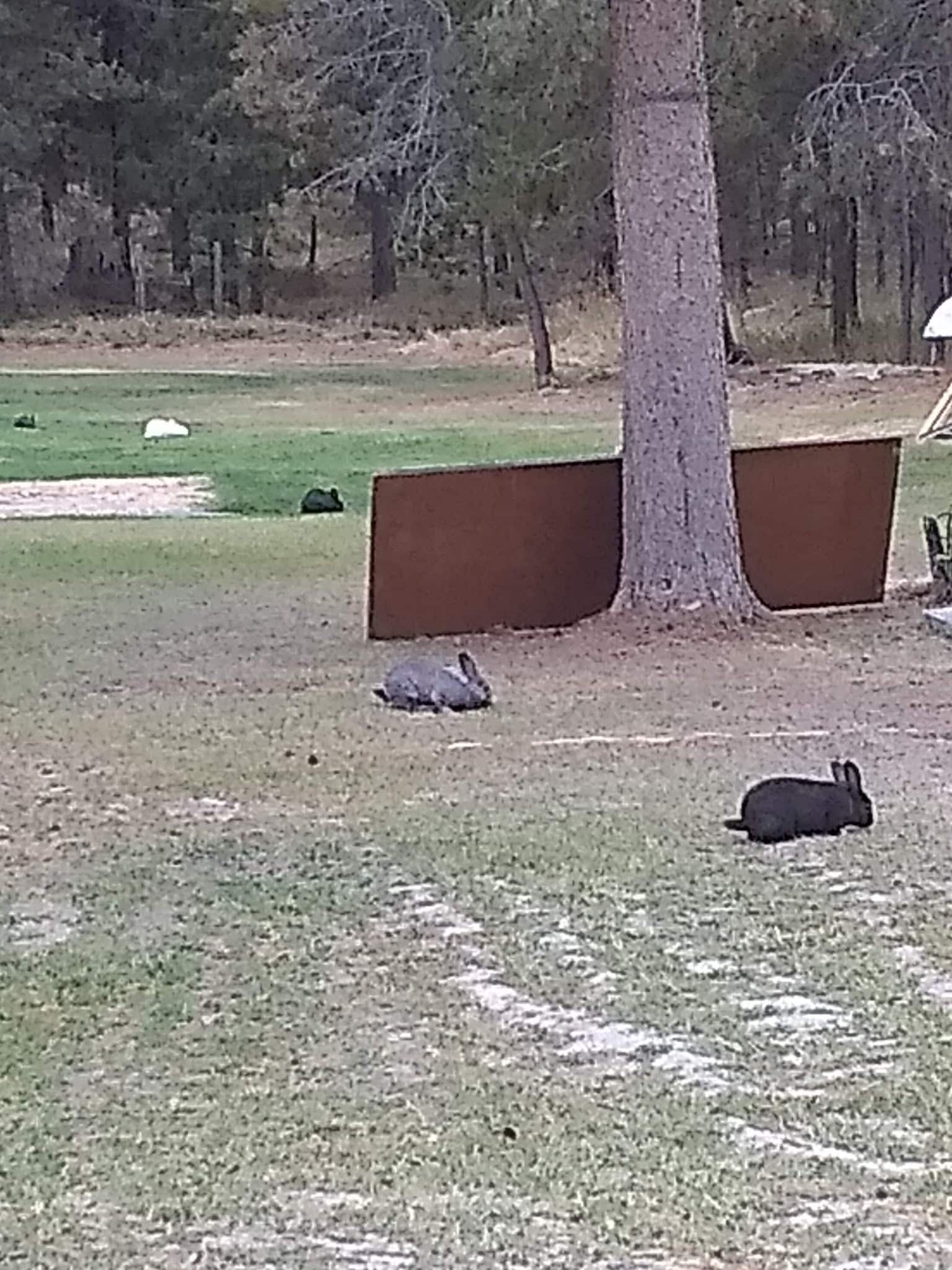 Moose Crossing Inc - Marion, MT