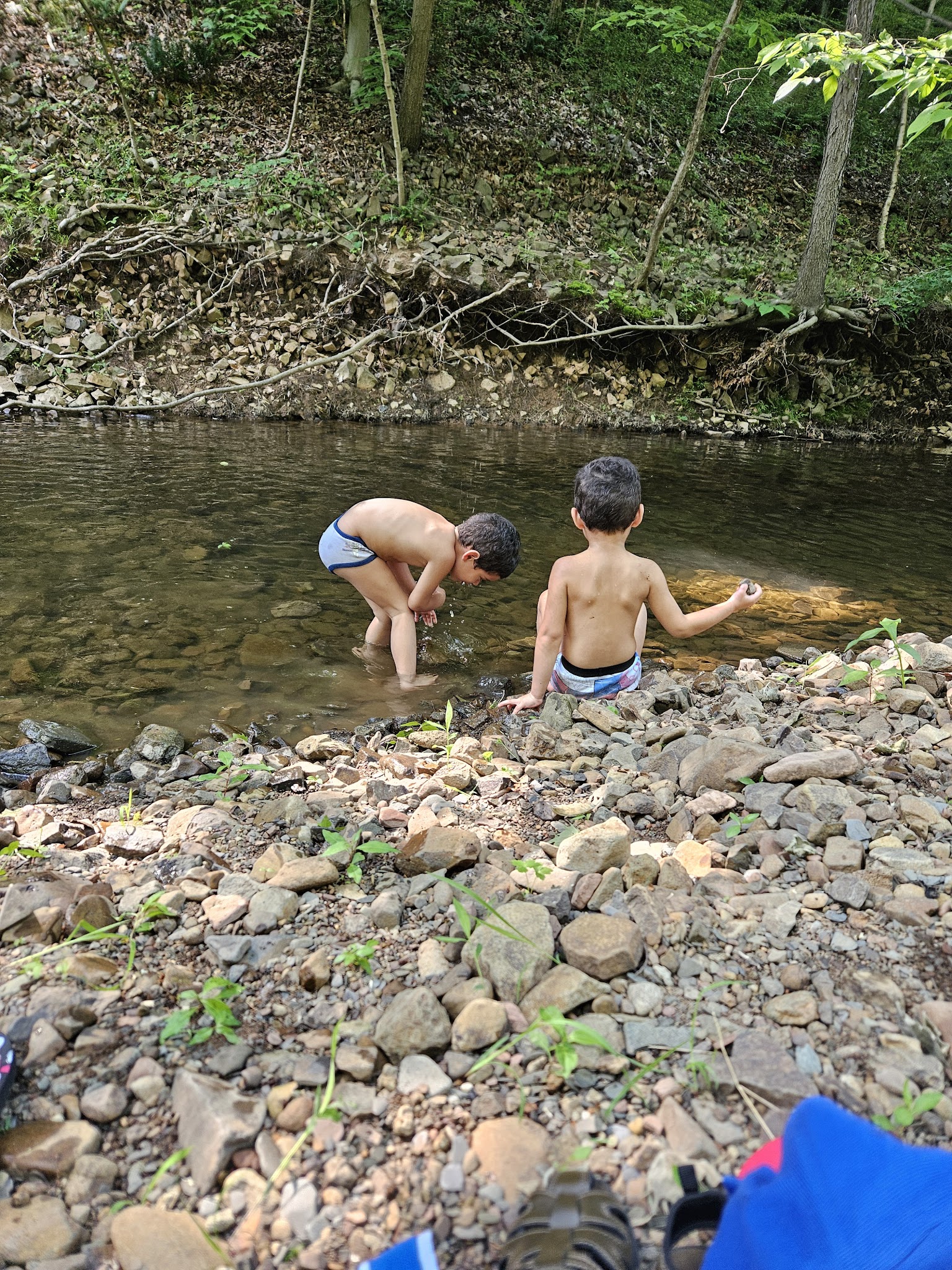 Chimney Rock Park Hawk Watch Trailhead - Martinsville, NJ