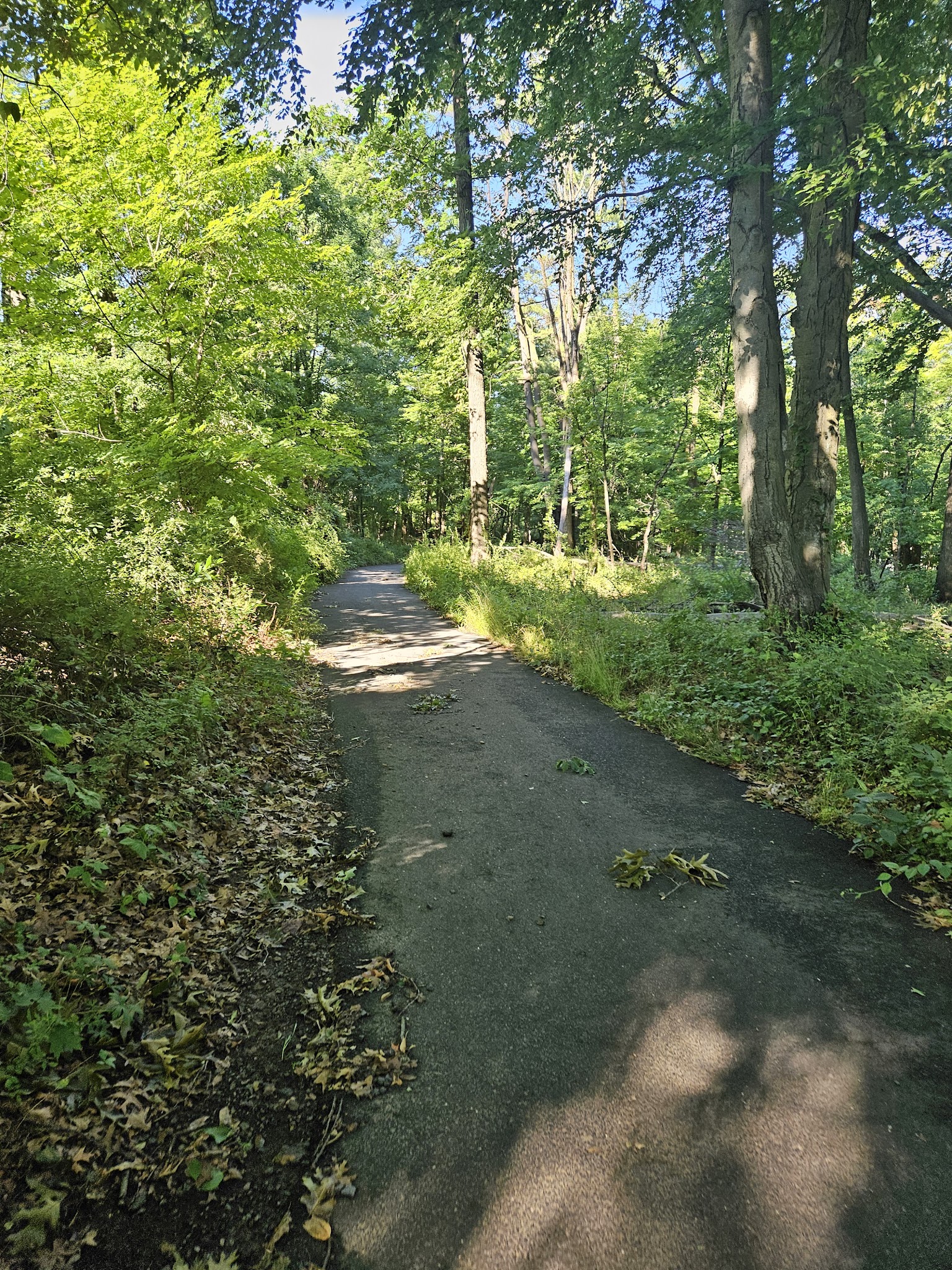 Hawk Watch Area Parking Lot - Martinsville, NJ