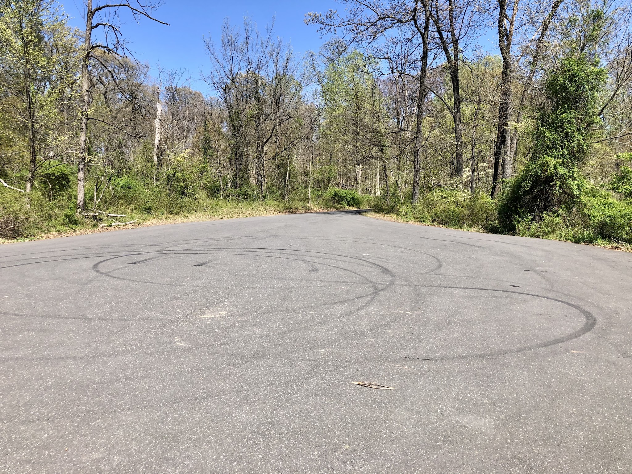 Hawk Watch Area Parking Lot - Martinsville, NJ