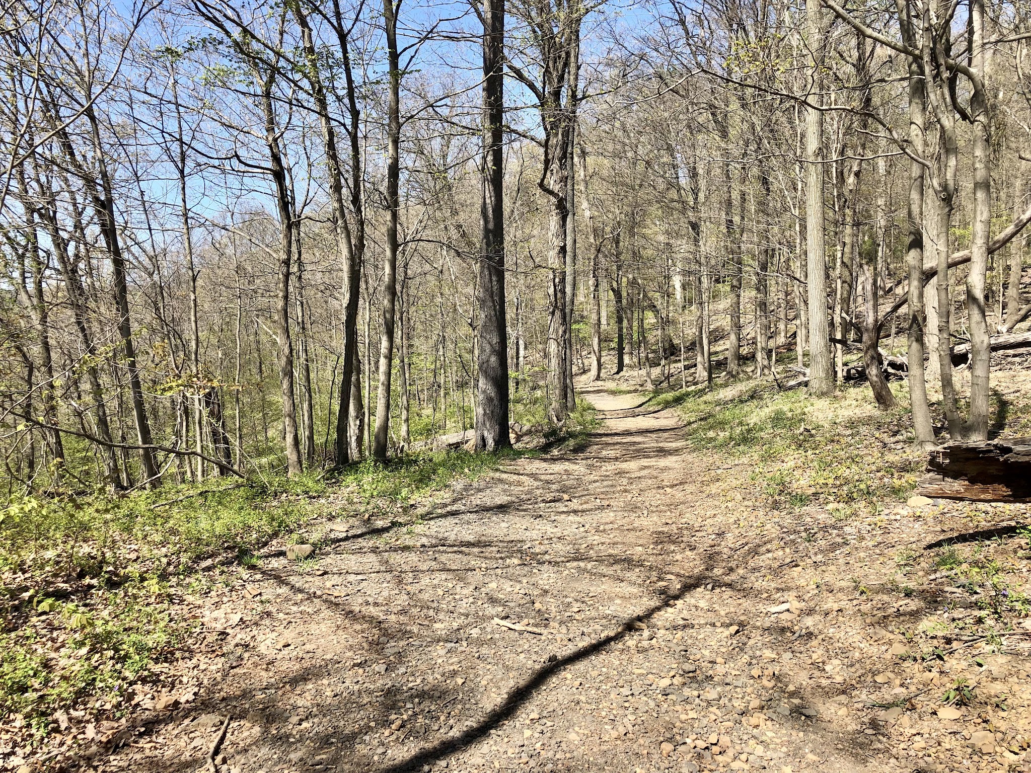 Hawk Watch Area Parking Lot - Martinsville, NJ