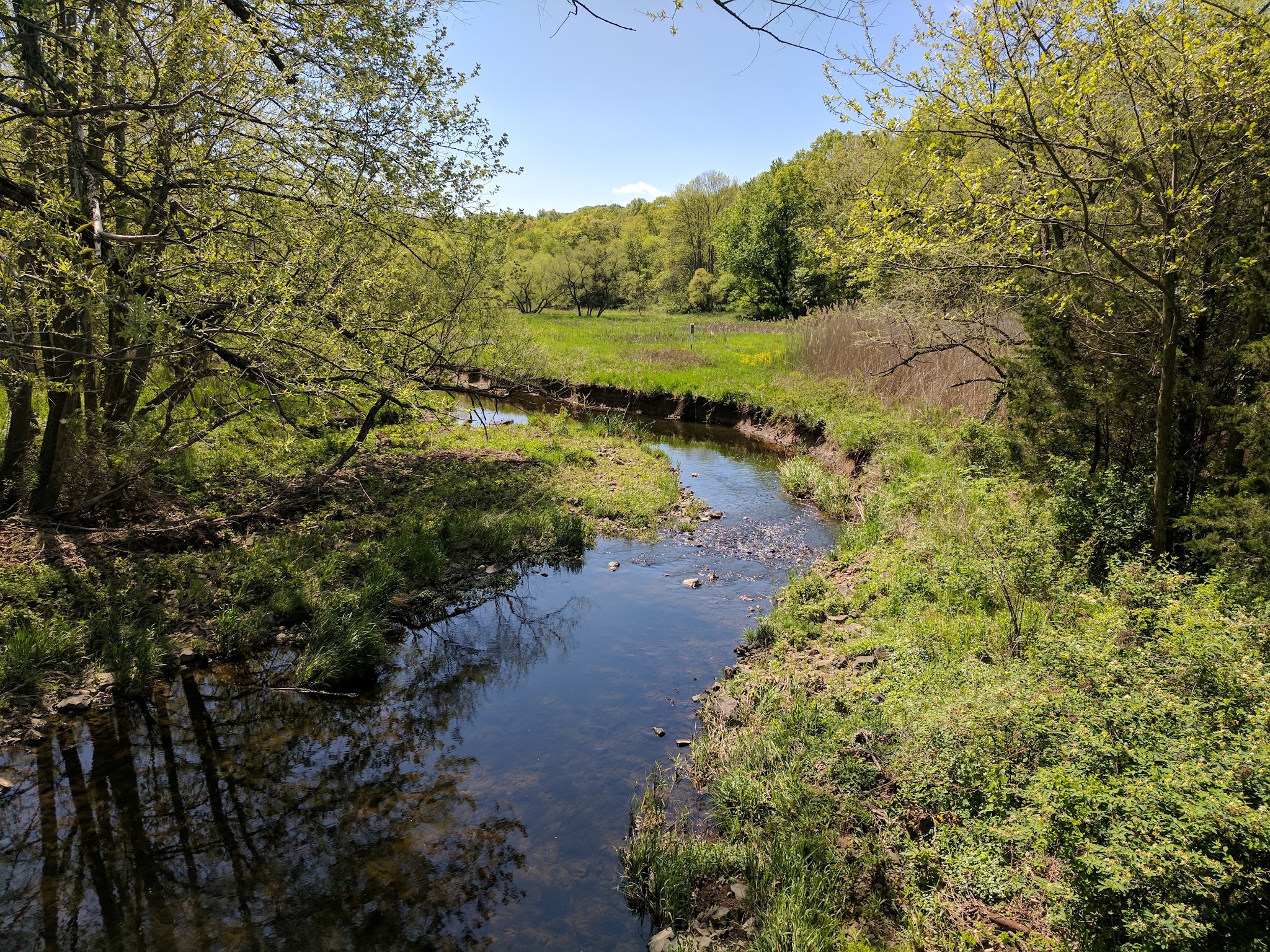 Washington Valley Park - PARKING - Martinsville, NJ