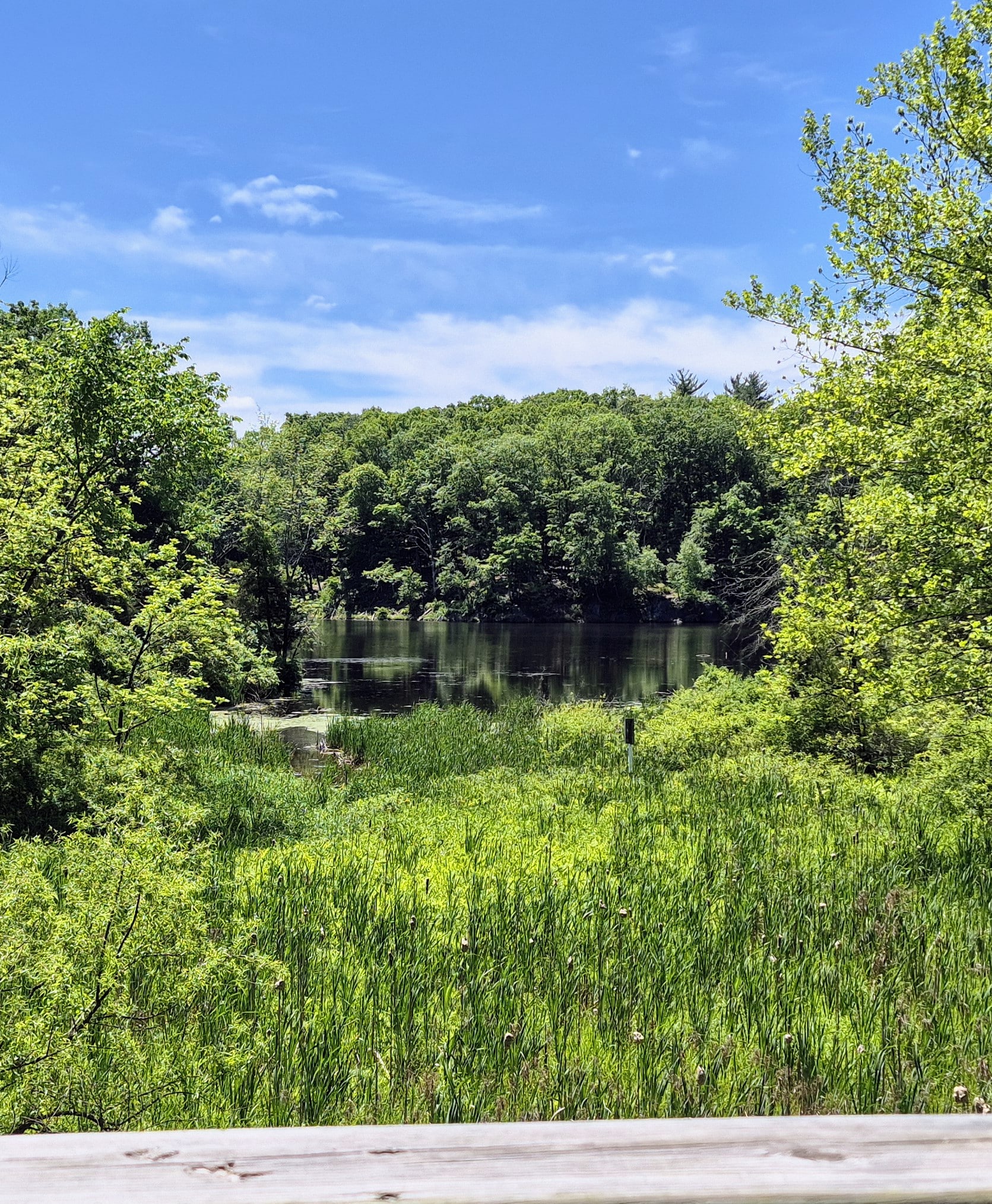 Washington Valley Park - PARKING - Martinsville, NJ