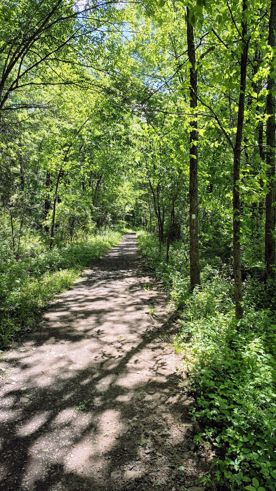 Washington Valley Park - PARKING - Martinsville, NJ