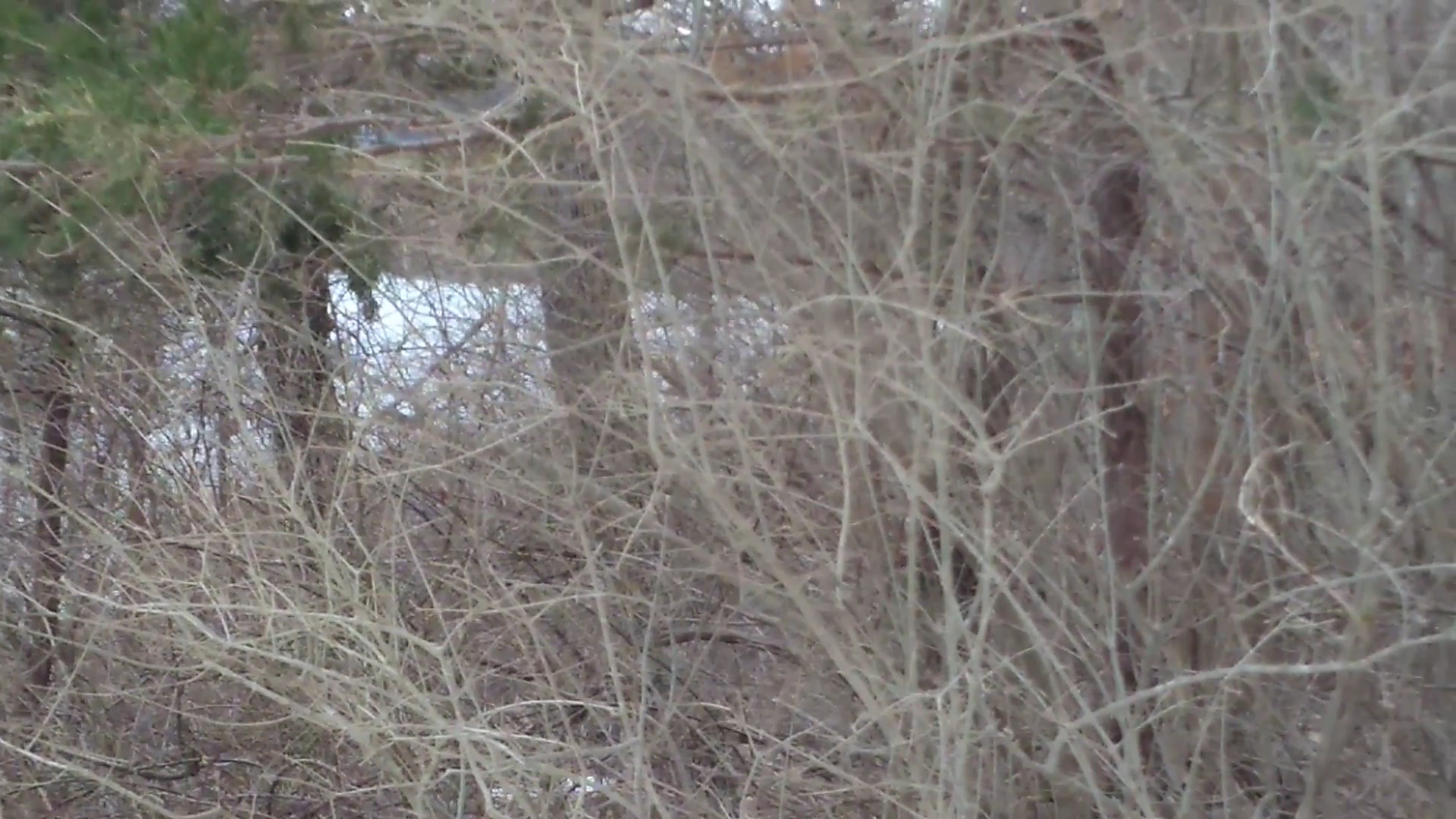 Washington Valley Park - PARKING - Martinsville, NJ