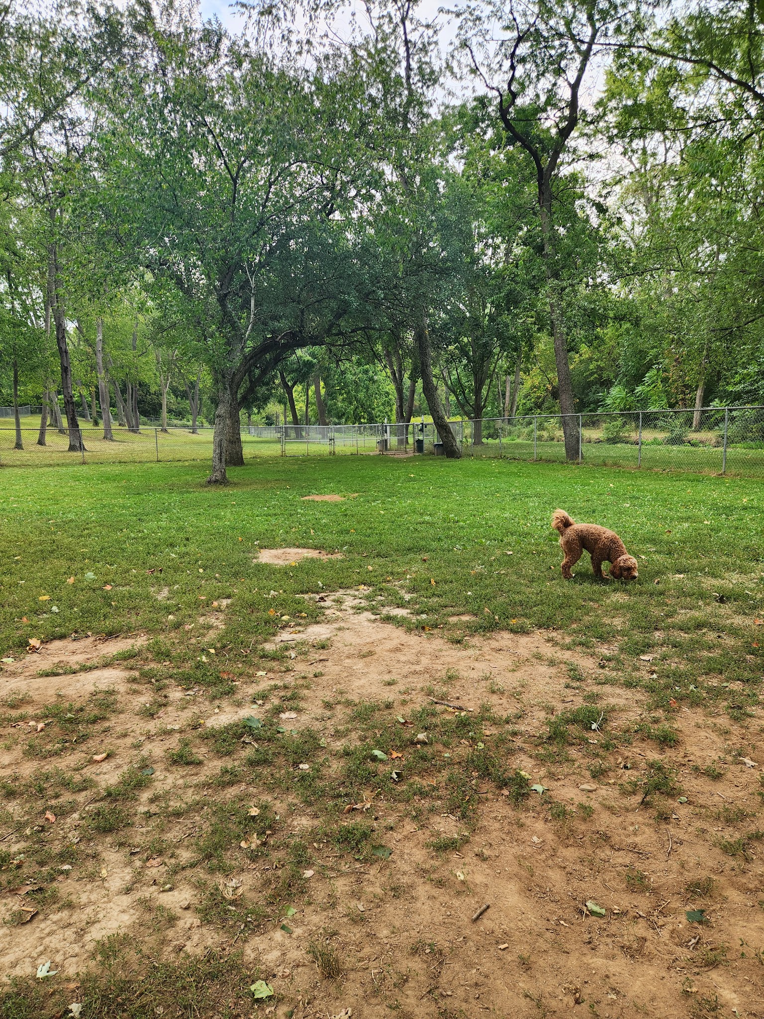 Dog park - Massillon, OH
