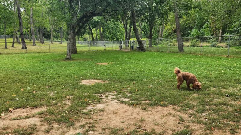 Dog park - Massillon, OH