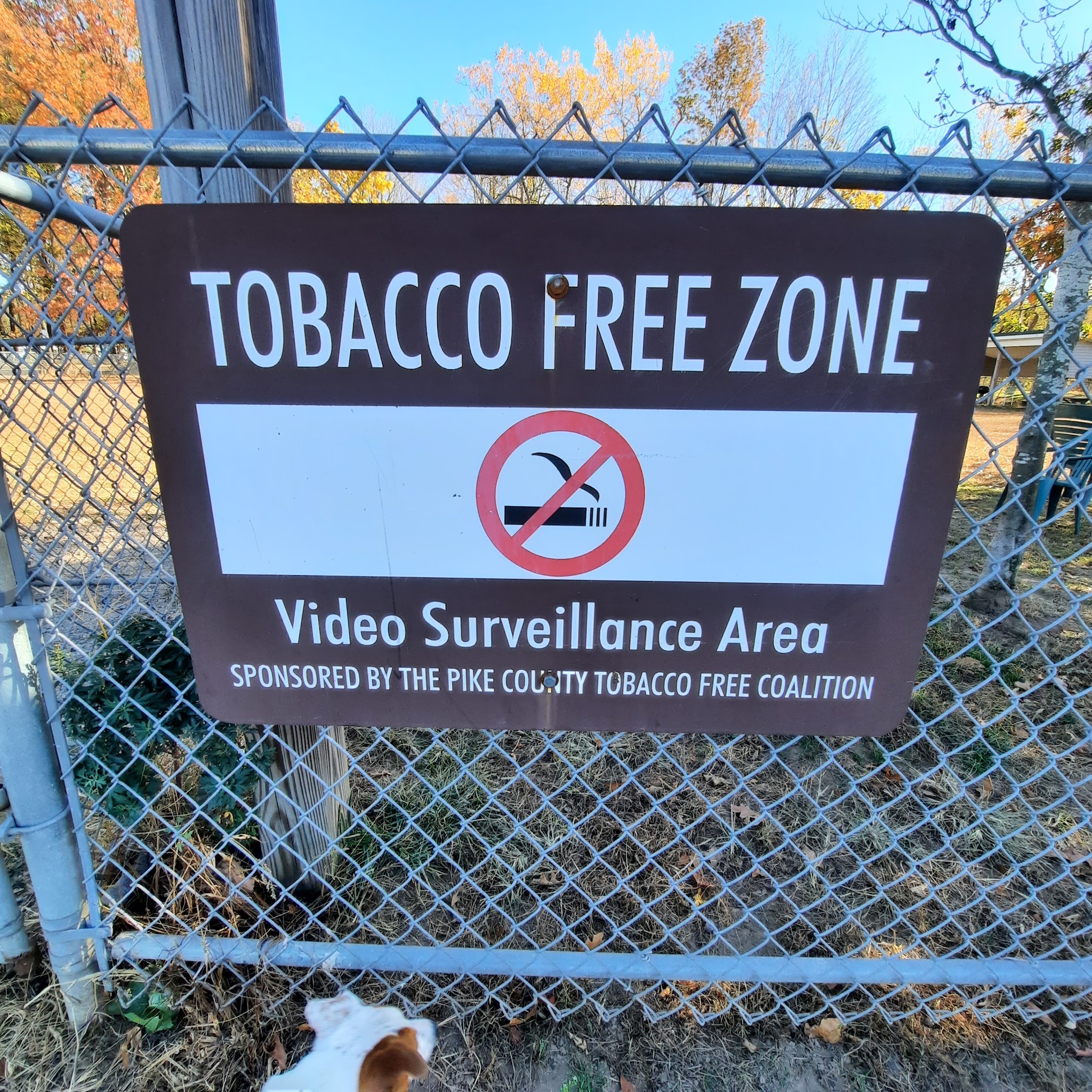 Matamoras Dog Park - Matamoras, PA