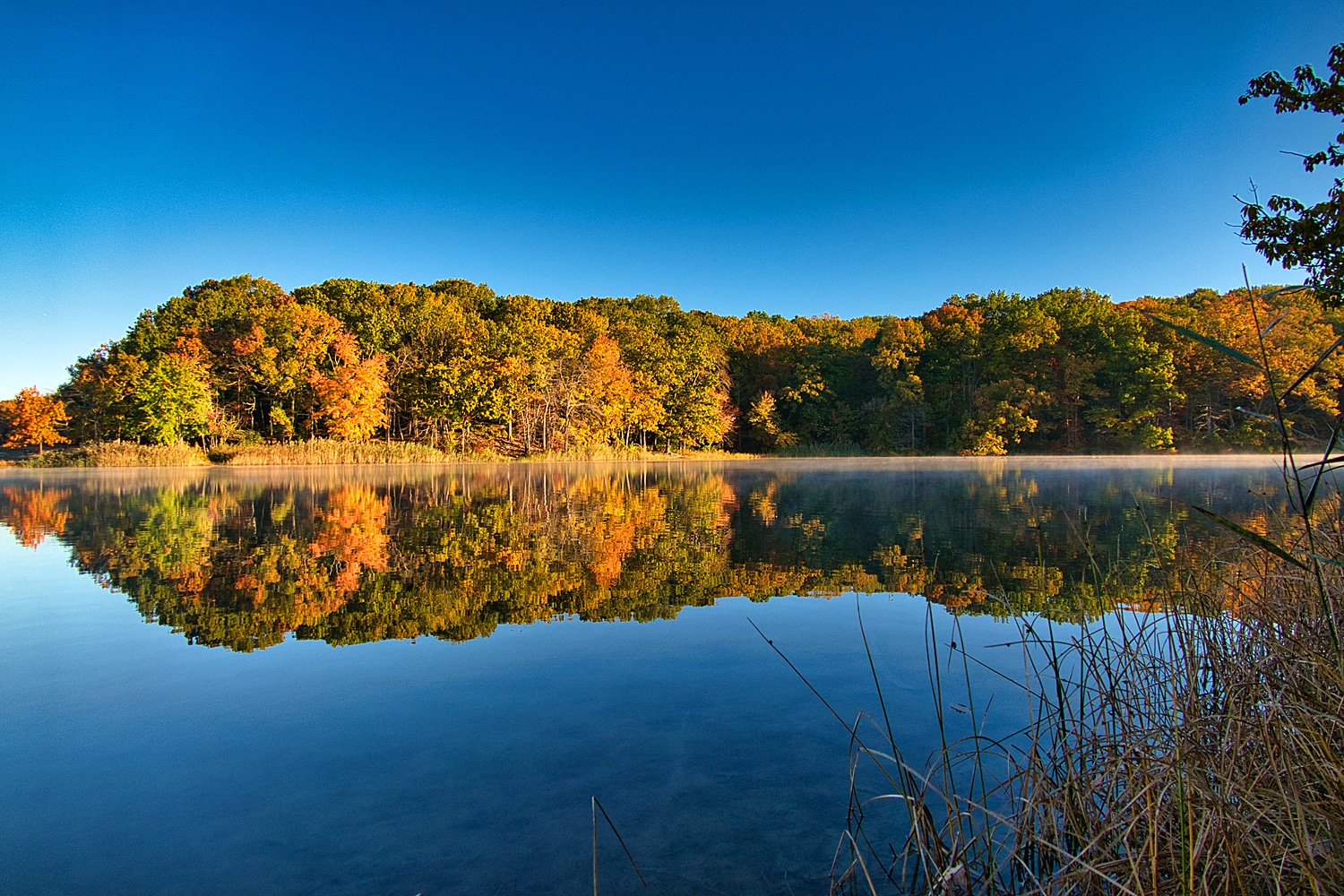 Cheesequake State Park - Matawan, NJ