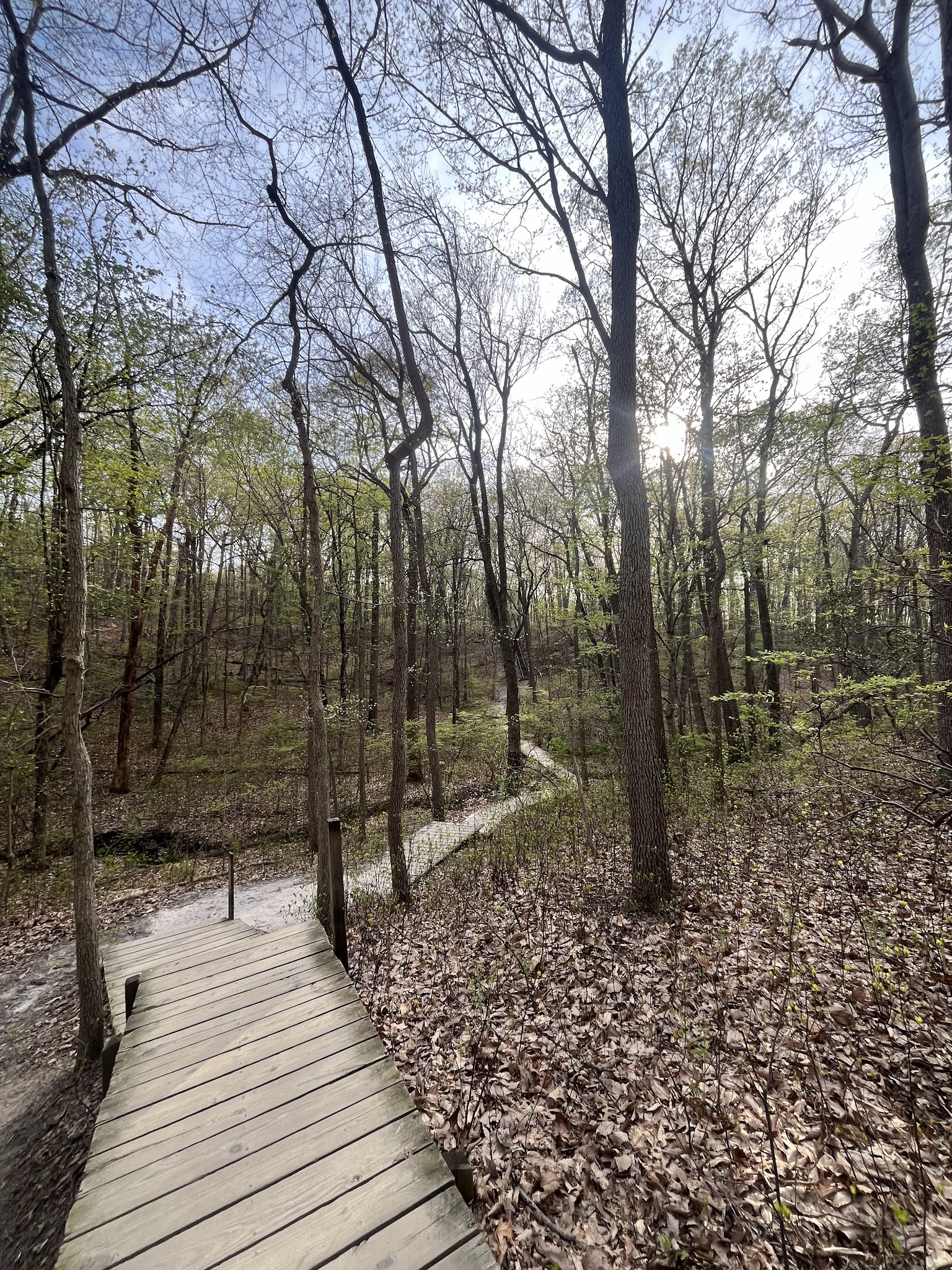 Cheesequake State Park Trailhead - Matawan, NJ