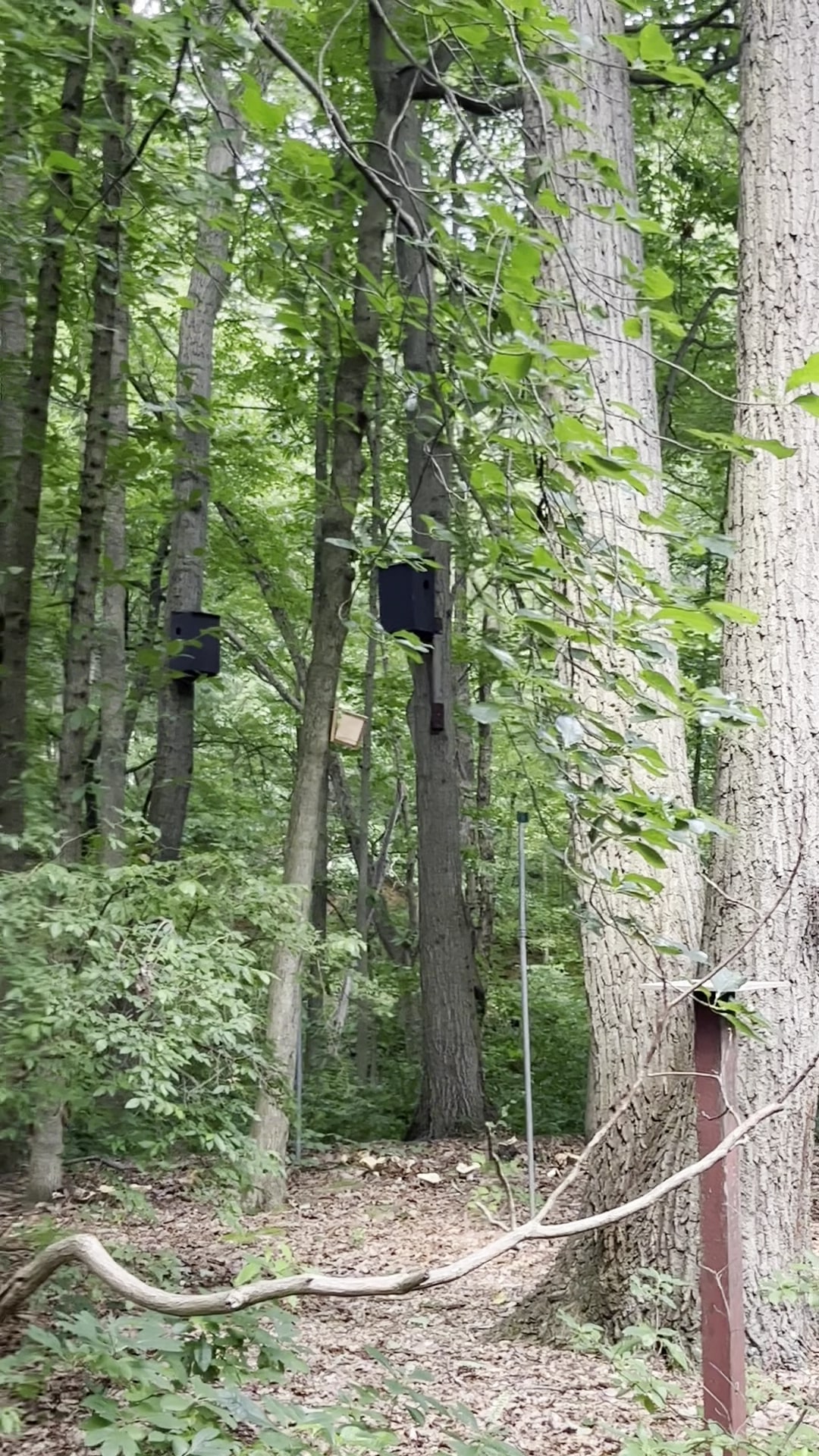 Cheesequake State Park Trailhead - Matawan, NJ