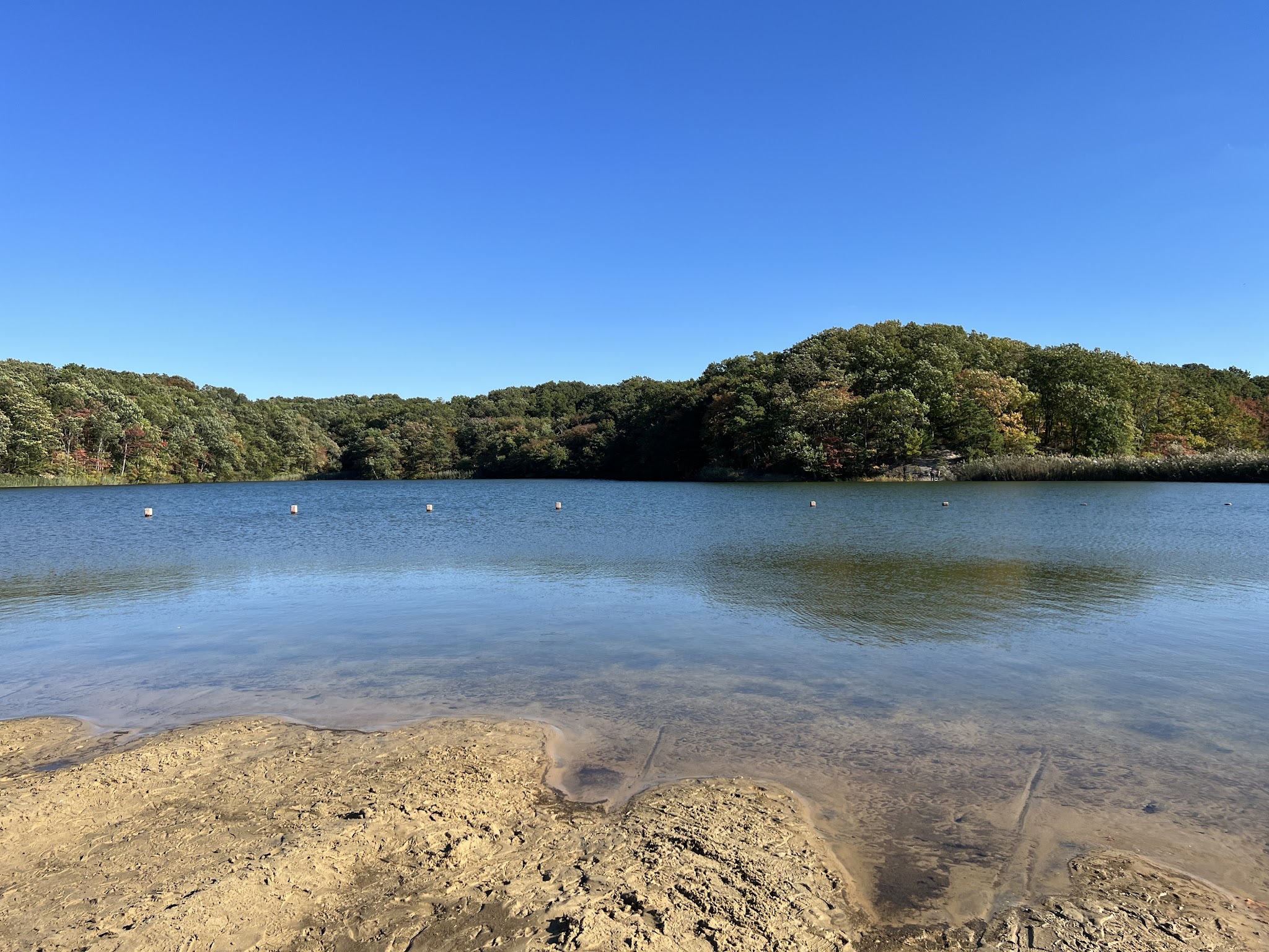 Cheesequake State Park Trailhead - Matawan, NJ