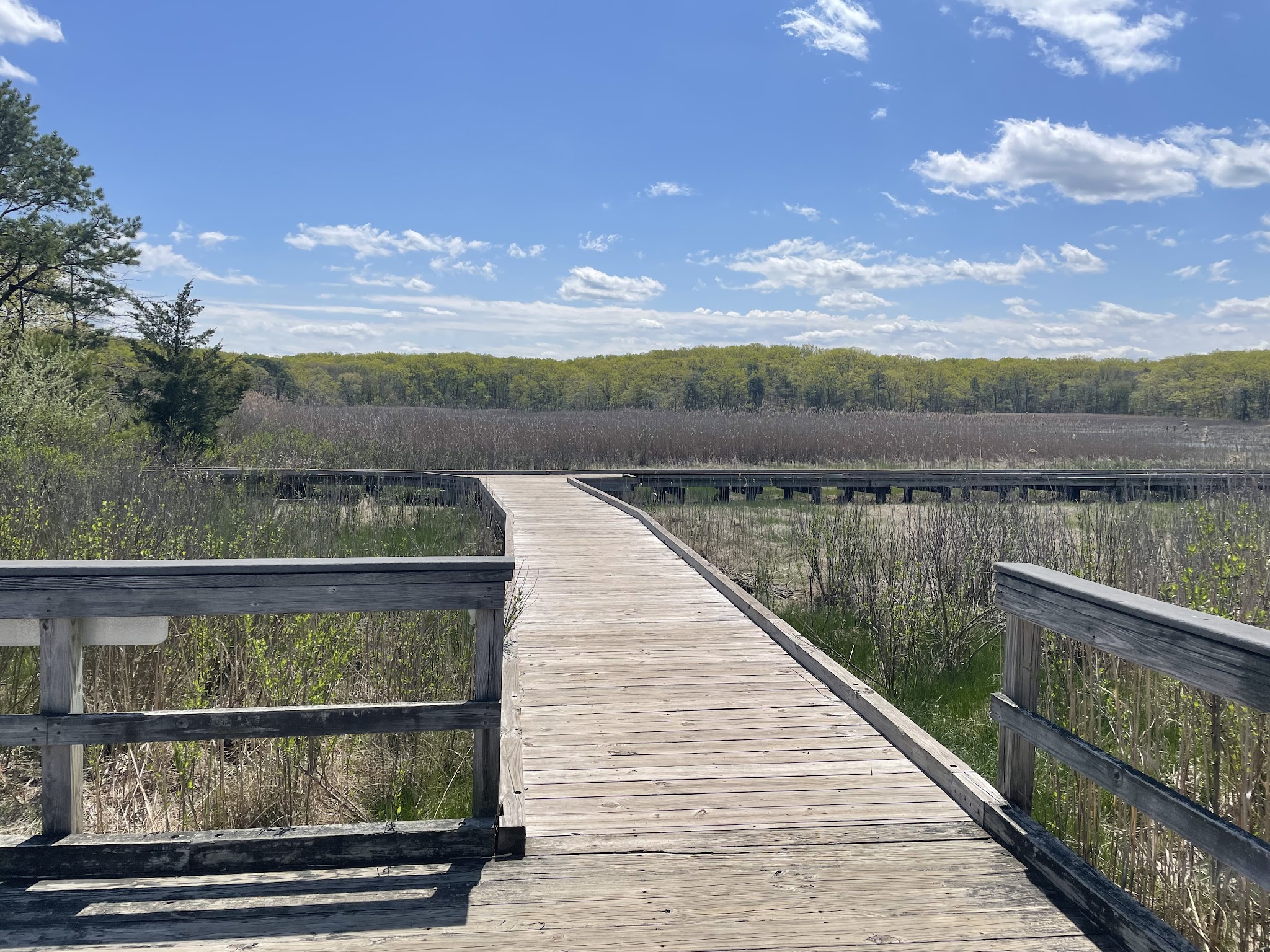 Cheesequake State Park - Matawan, NJ