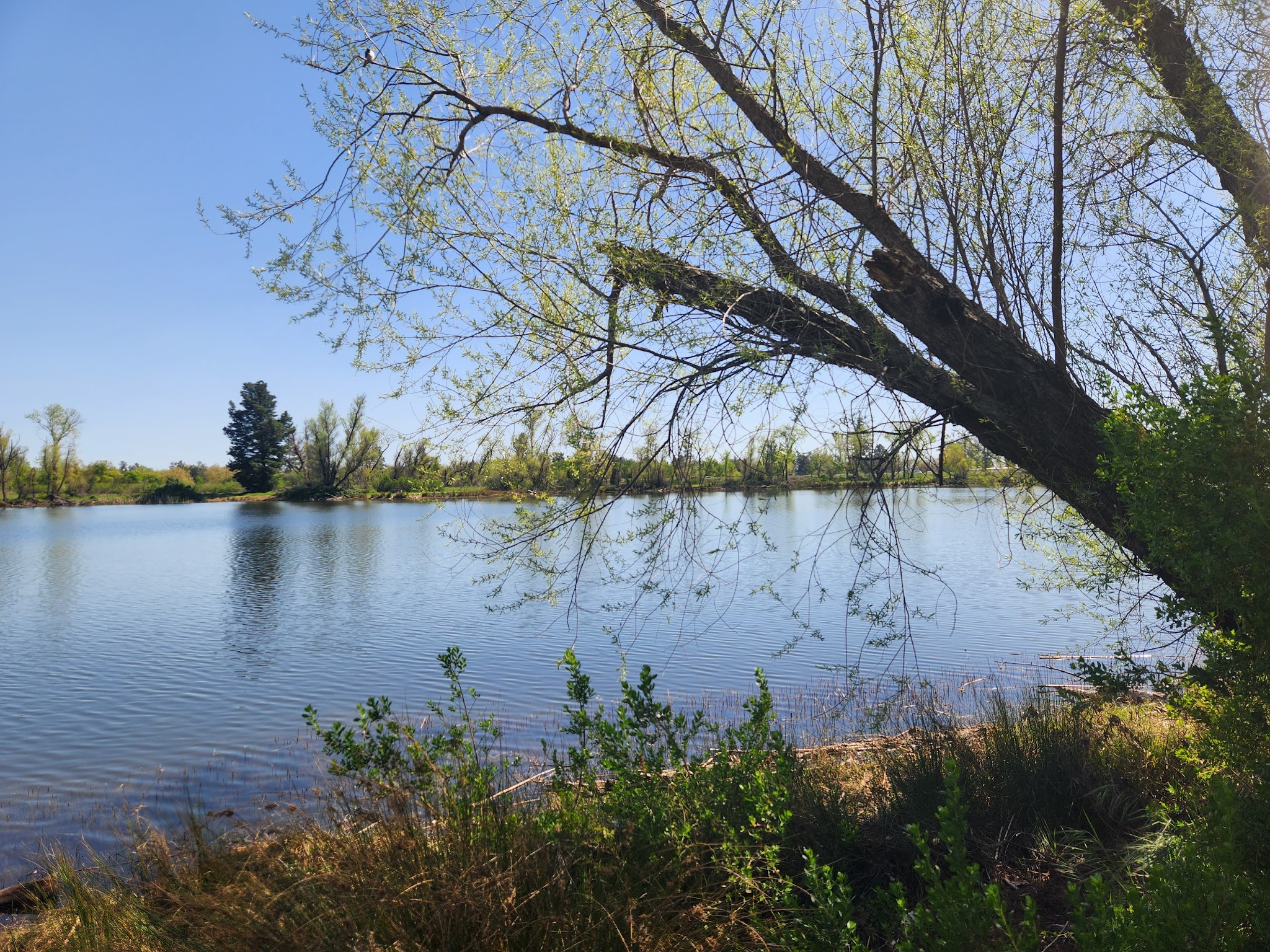 Mather Regional Park - Mather, CA