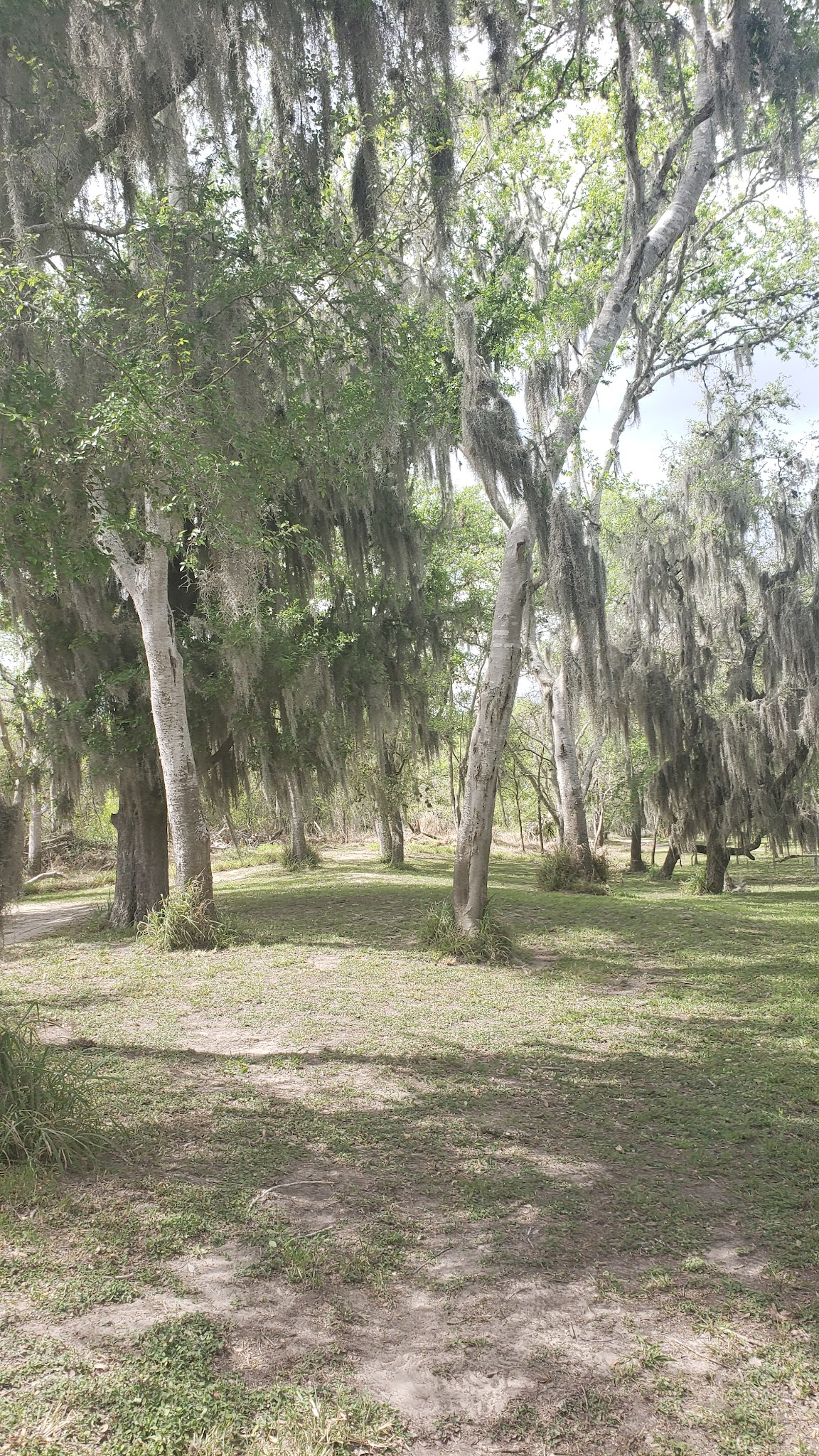 La Fruta Park - Mathis, TX