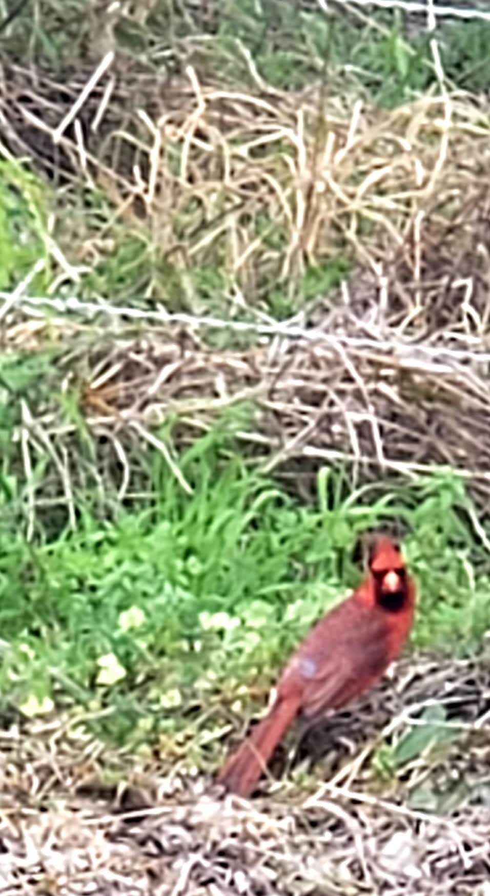 La Fruta Park - Mathis, TX