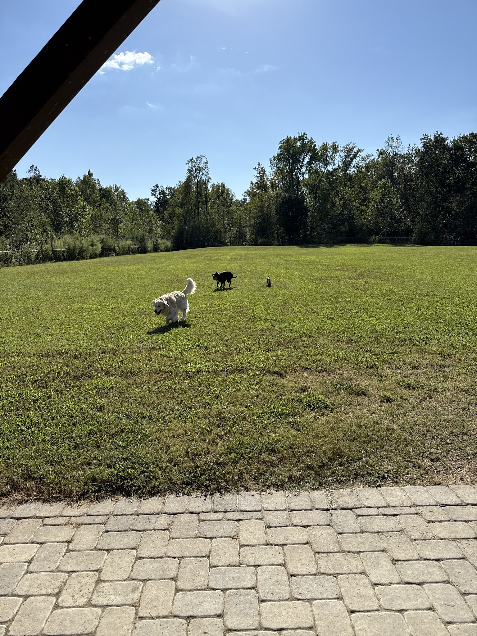 Clover Dog Park - Matthews, NC