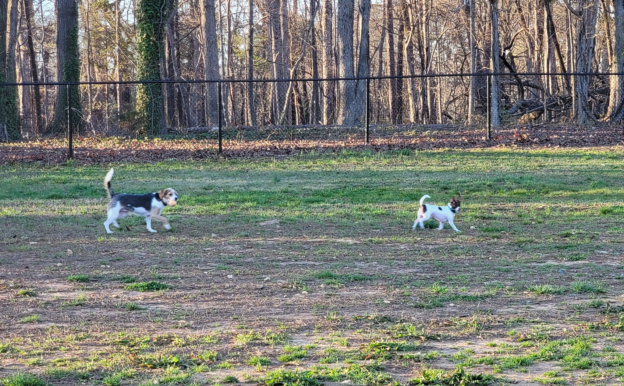 Purser-Hulsey Park - Dog Park Entrance - Matthews, NC