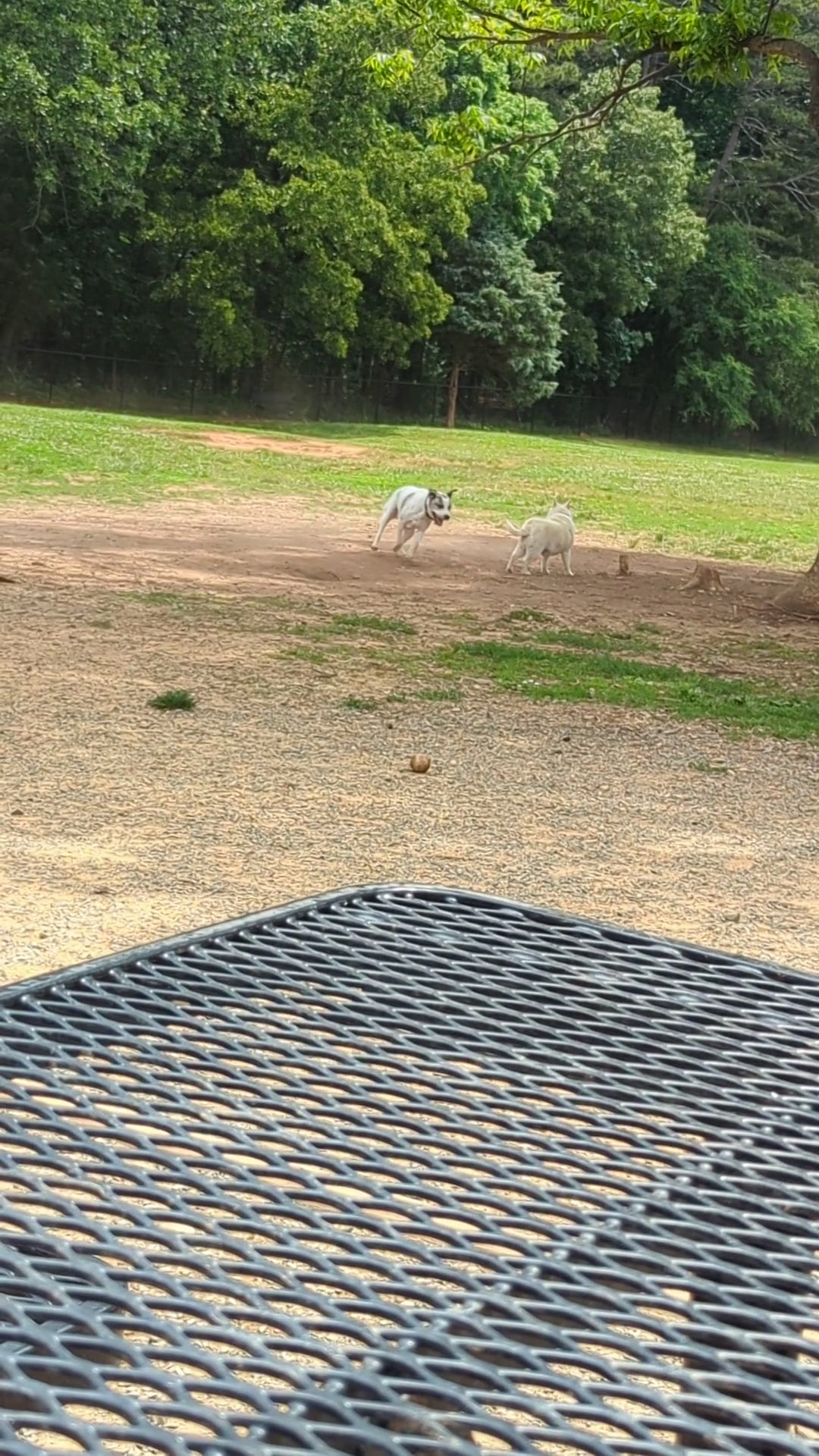 Purser-Hulsey Park - Dog Park Entrance - Matthews, NC