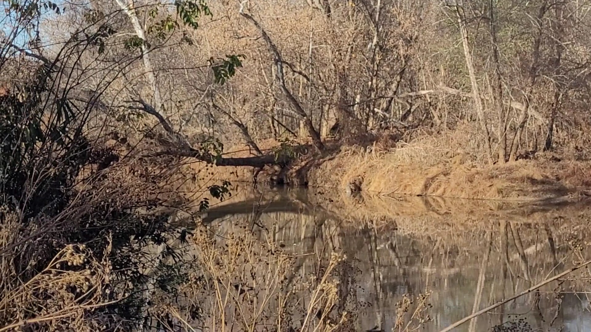 McAdenville Greenway Park - McAdenville, NC
