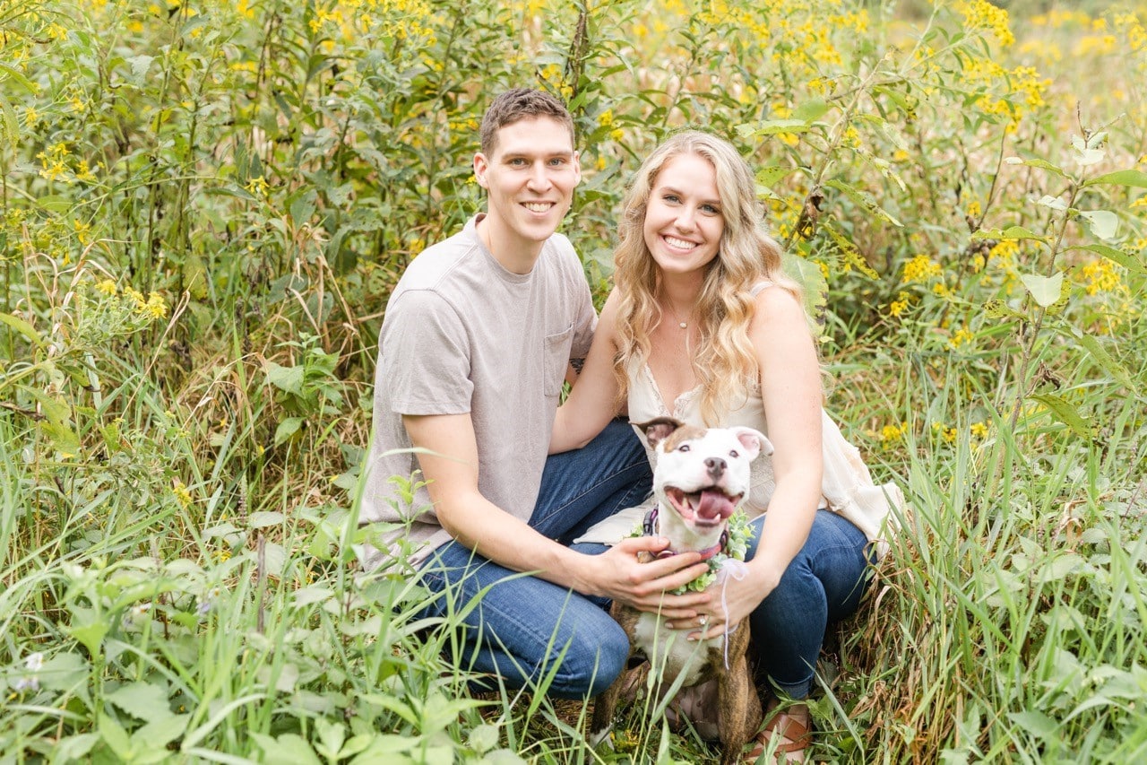 H-D Interactions Dog Training Co. - McDonald, PA