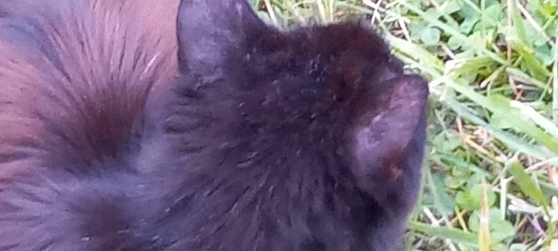 Heritage Park - McDonald, PA